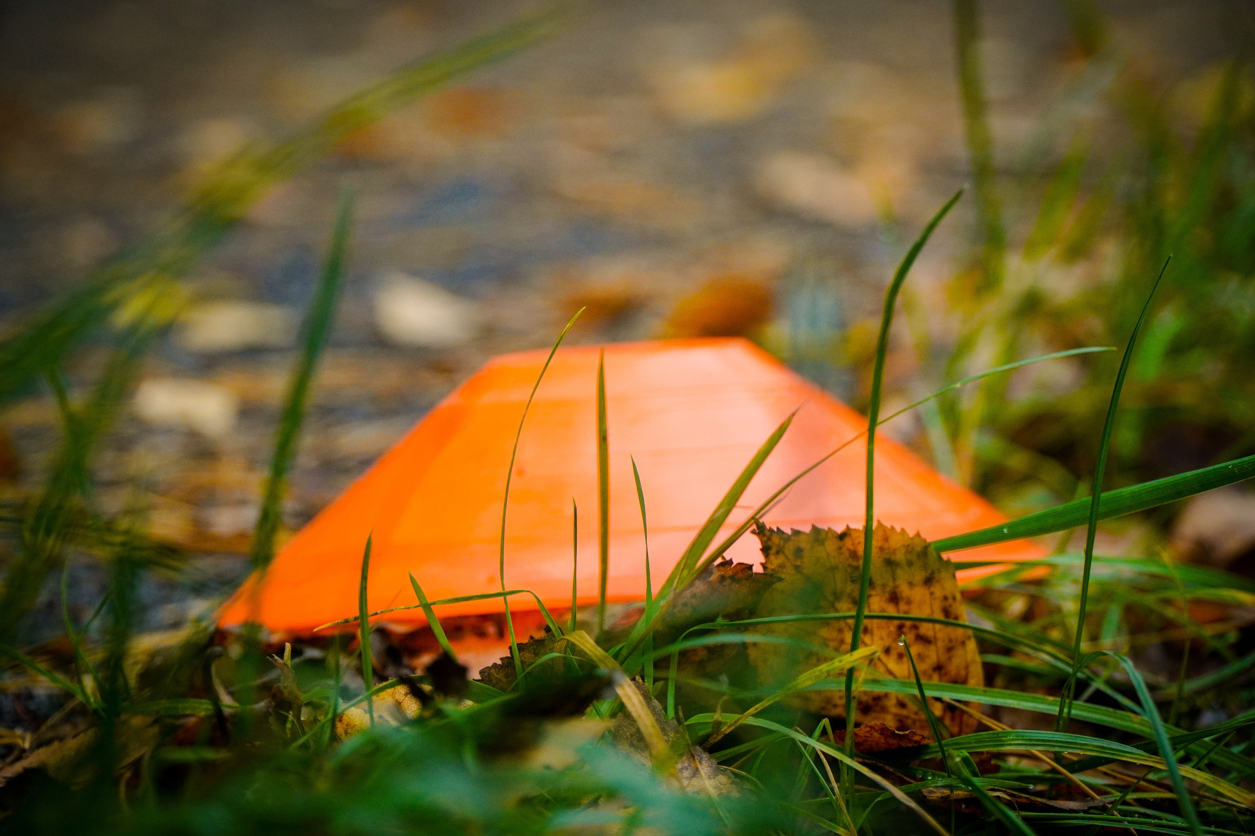 100-й забег 5 вёрст Томилинский. Роман Капилюшов. Бег. Фото. Видео. г. Люберцы