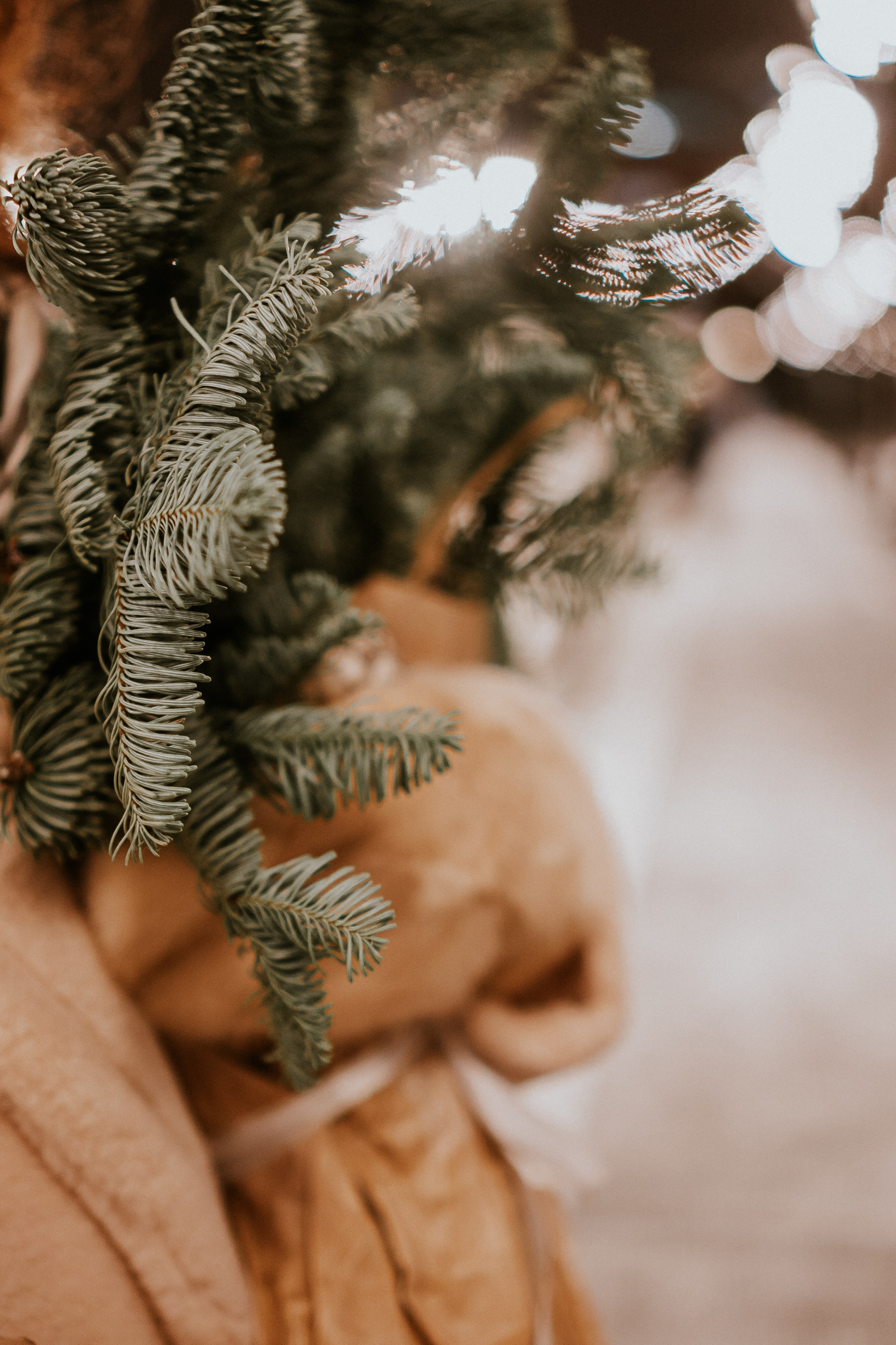 Зимняя сказка в Новой Голандии. Профессиональный фотограф, Санкт-Петербург — Виктория Богомолова