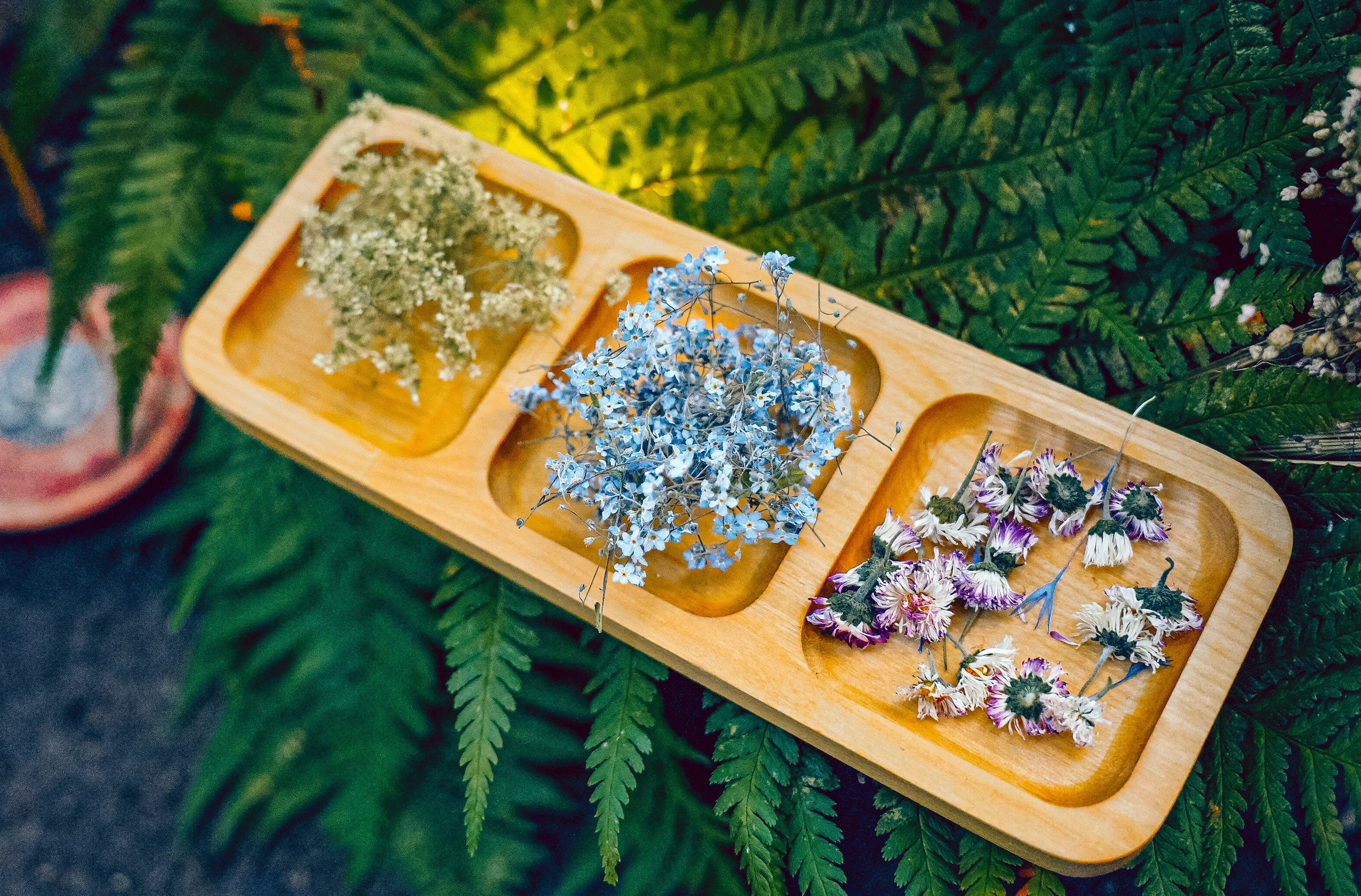 Малый бизнес и предметка. Репортажный фотограф в Москве Светлана Мулыкина