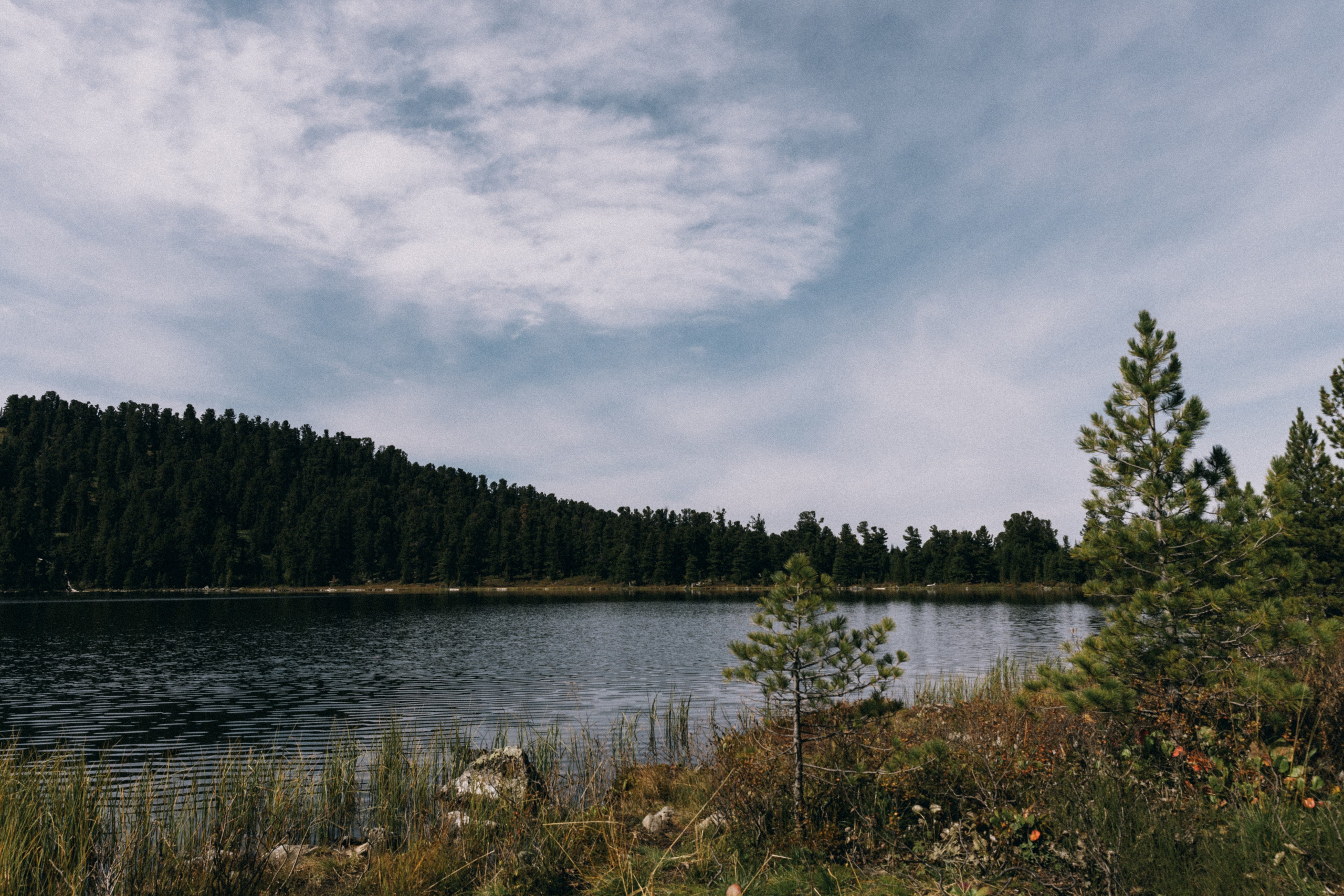Алтай, природа и эстетика. Александр Чернин. Семейный и событийный фотограф