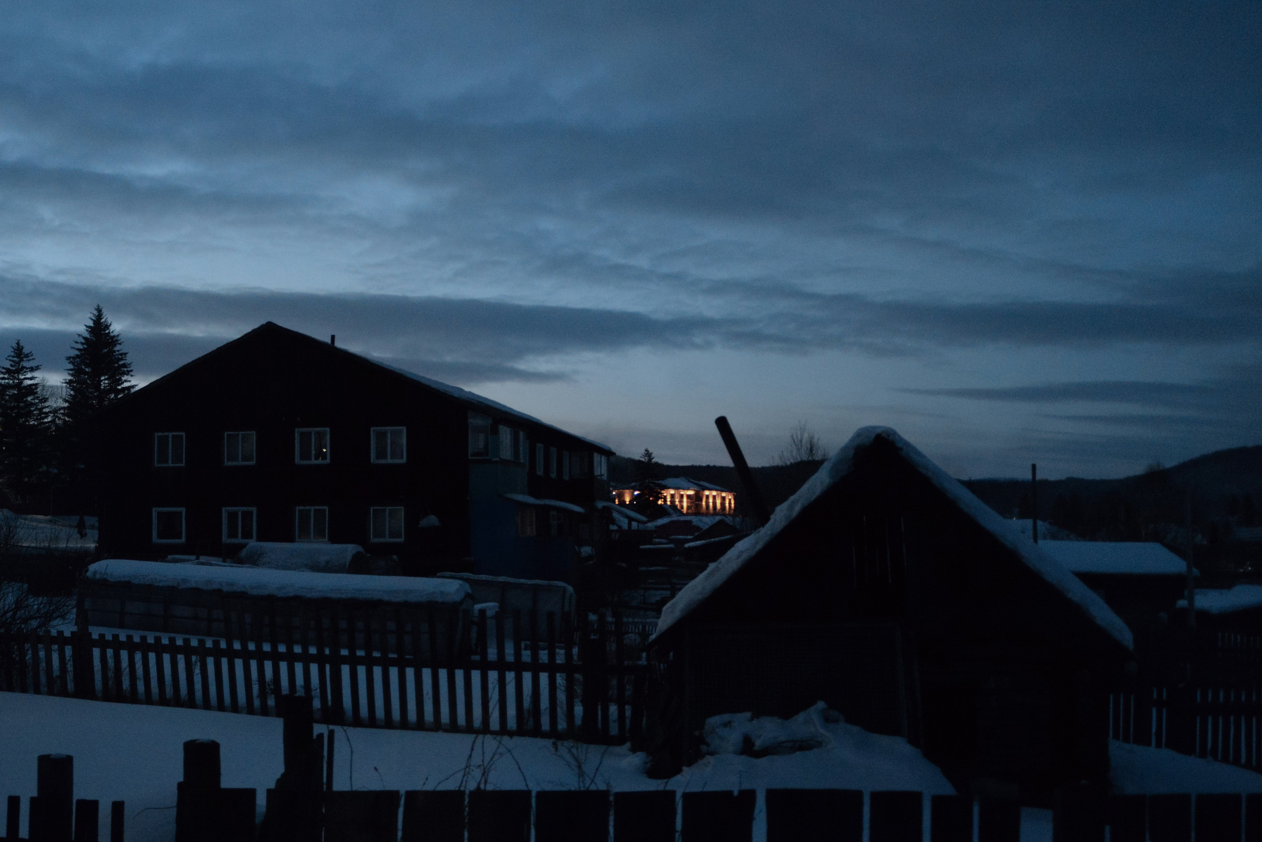 Фотожурналистика. Дарья Пянзина | фотограф |междисциплинарная художница