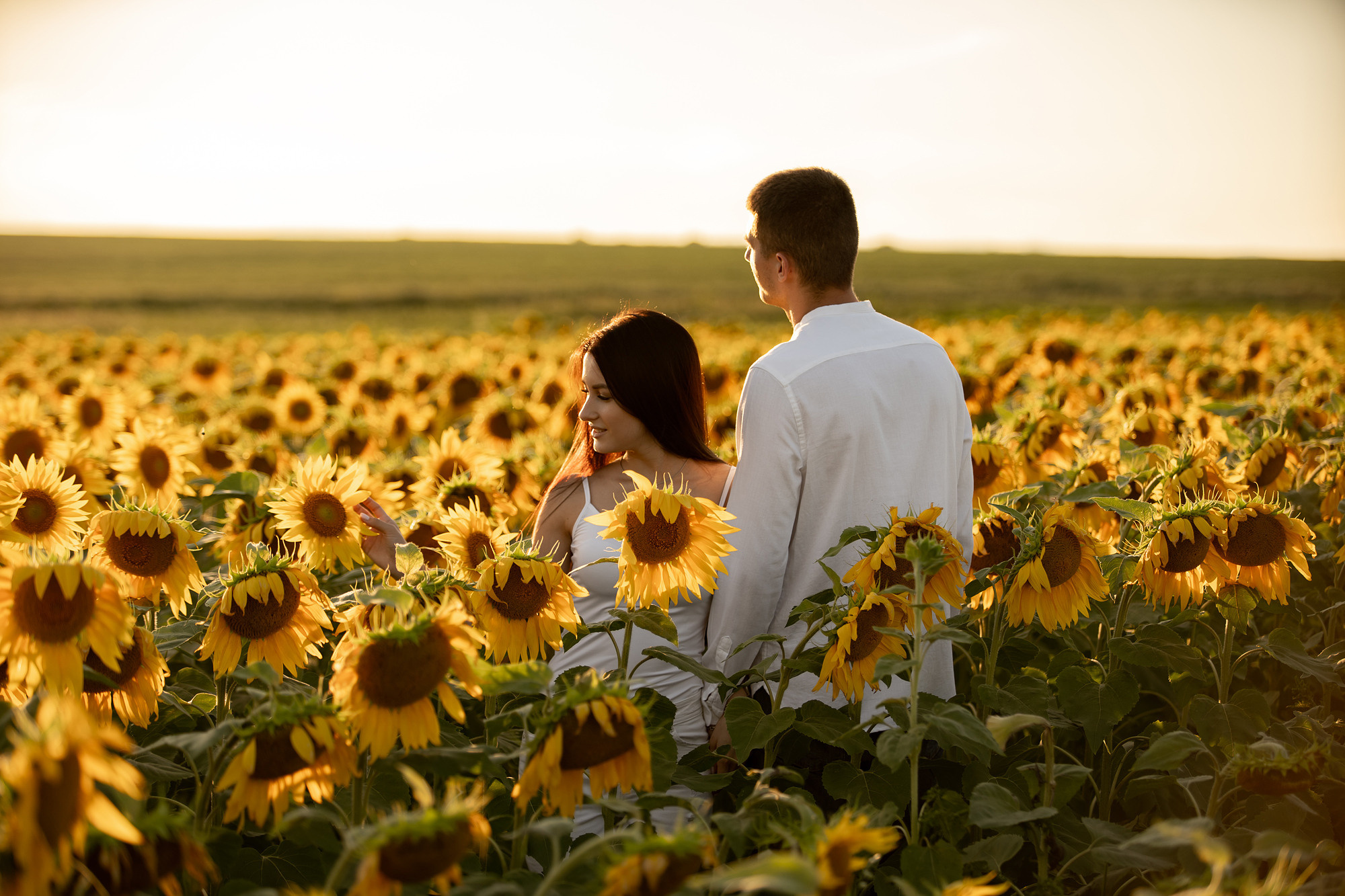 Подсолнуховое поле. Фотограф во Владивостоке Антон Блохин