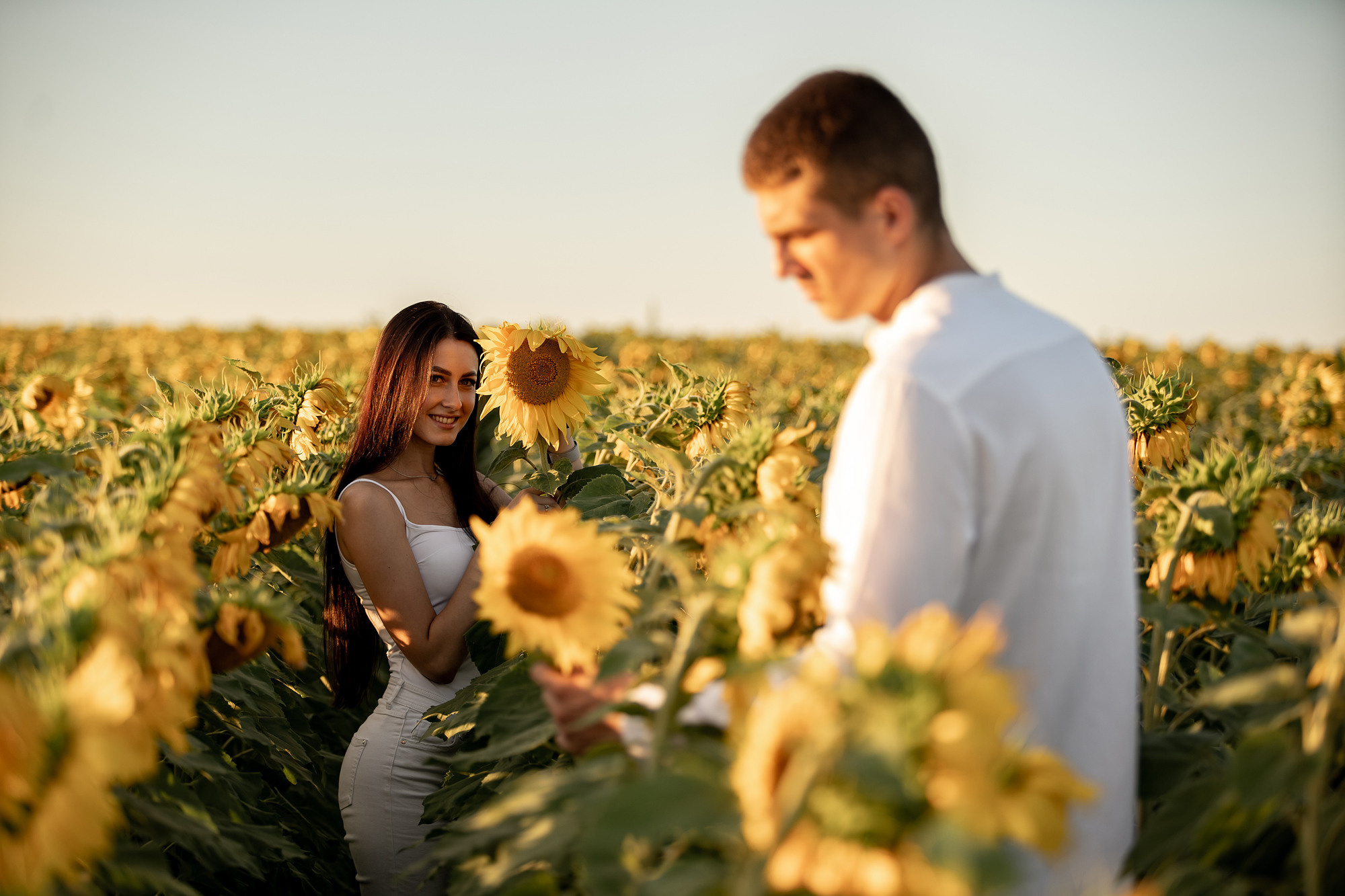 Подсолнуховое поле. Фотограф во Владивостоке Антон Блохин