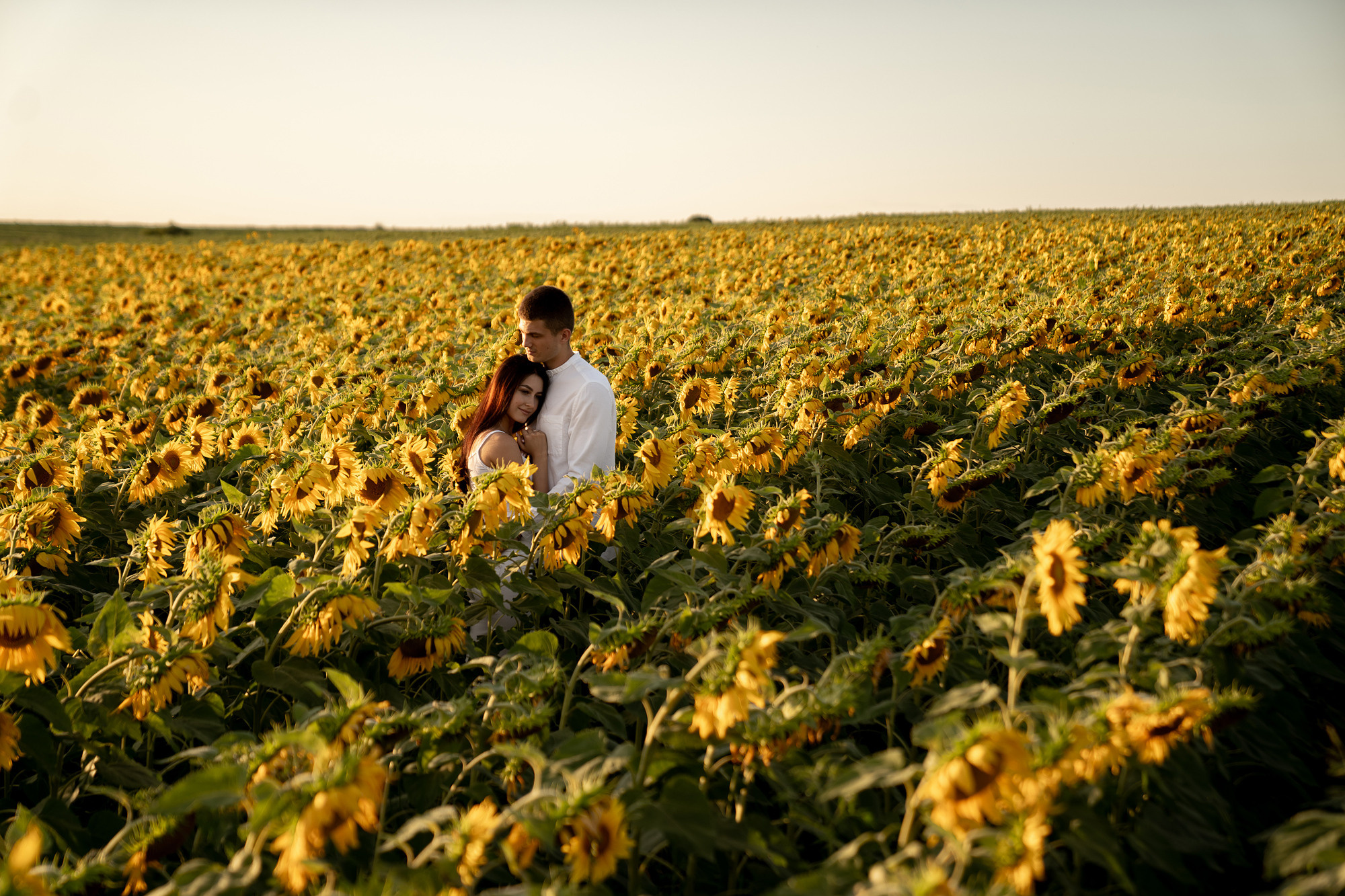 Подсолнуховое поле. Фотограф во Владивостоке Антон Блохин