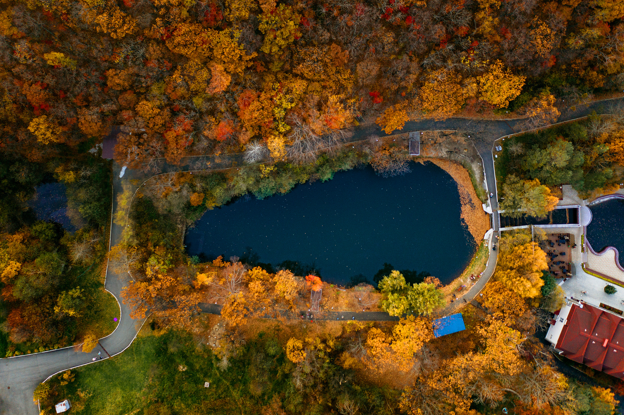 ОСЕНЬ В ПРИМОРЬЕ