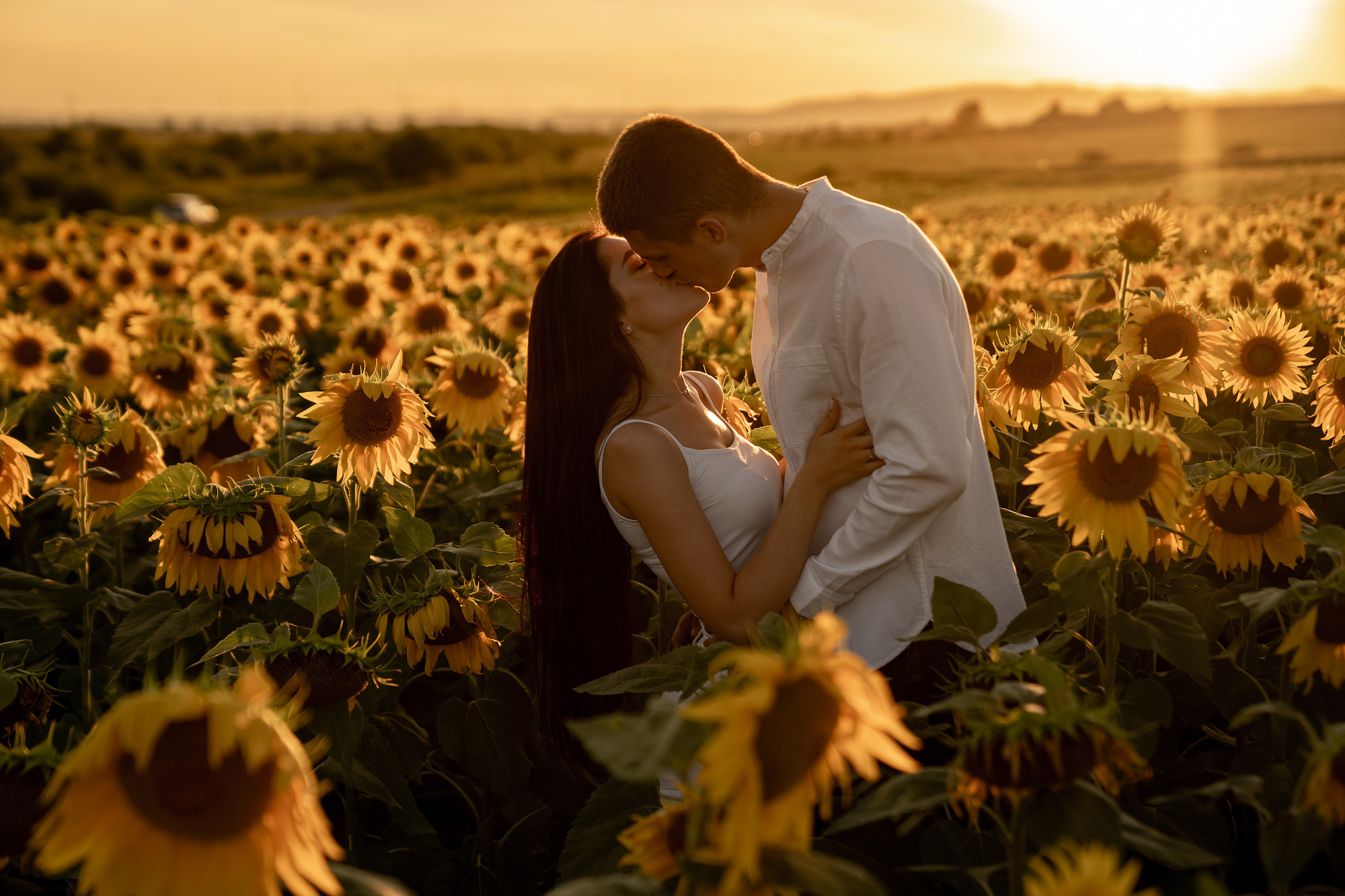 Подсолнуховое поле. Фотограф во Владивостоке Антон Блохин