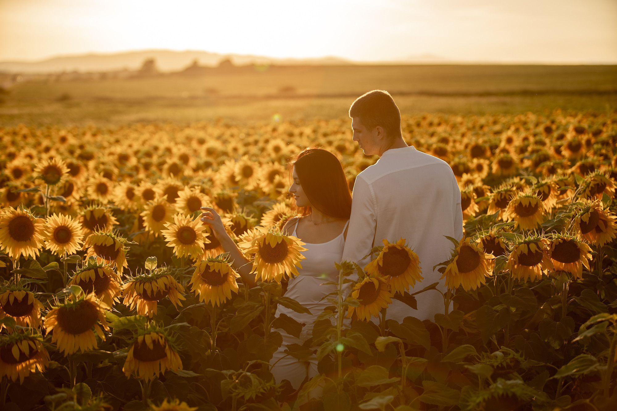 Подсолнуховое поле. Фотограф во Владивостоке Антон Блохин