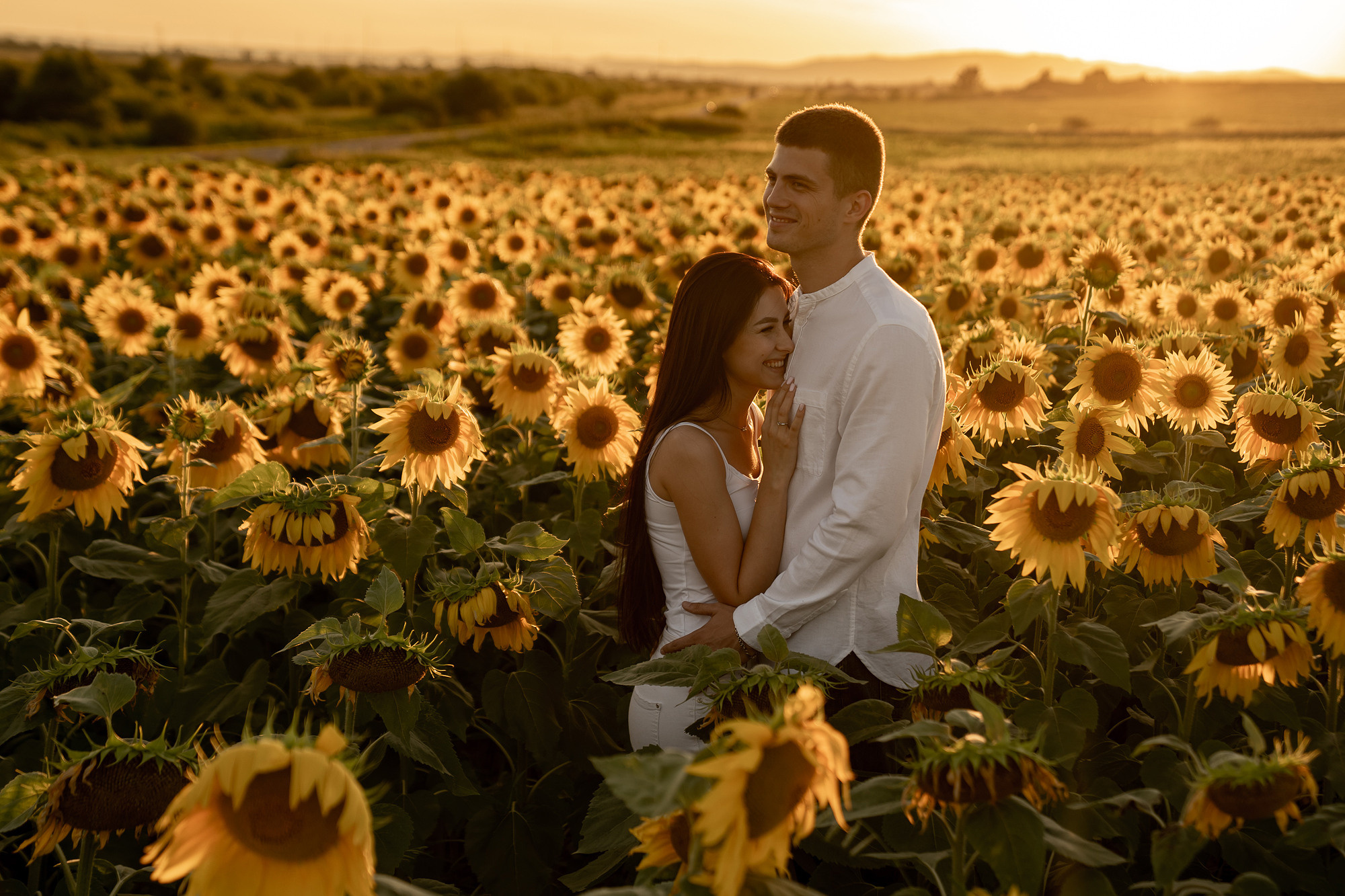 Подсолнуховое поле. Фотограф во Владивостоке Антон Блохин