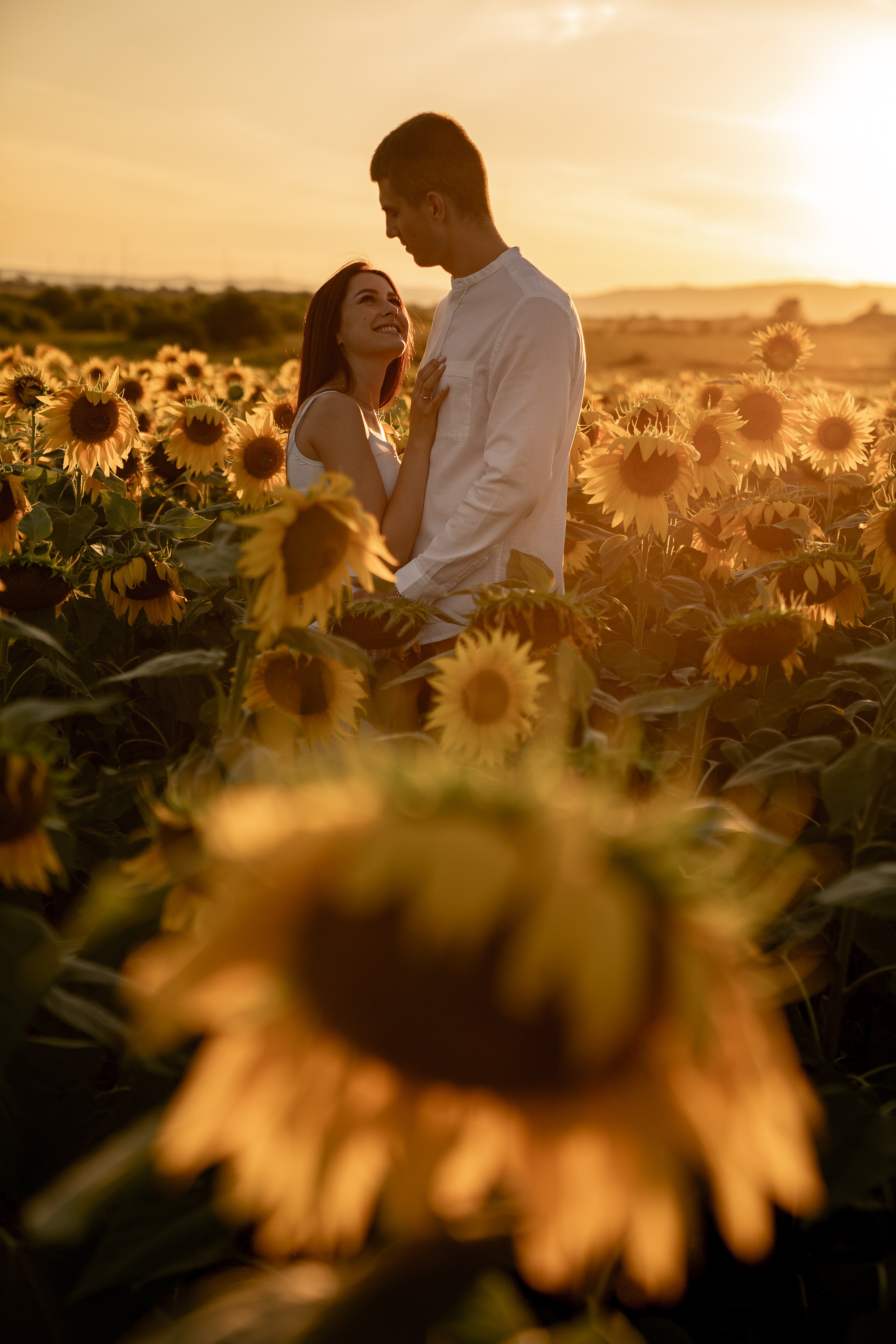 Подсолнуховое поле. Фотограф во Владивостоке Антон Блохин