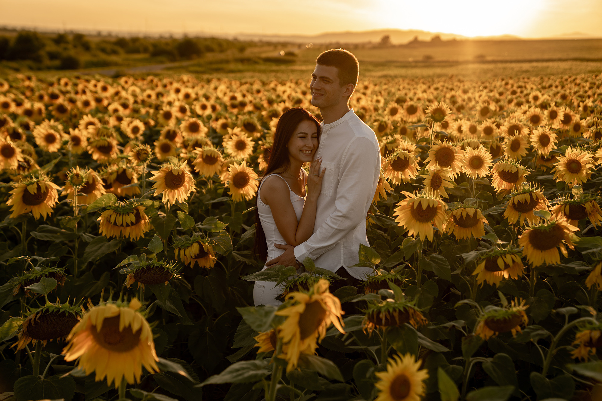 Подсолнуховое поле. Фотограф во Владивостоке Антон Блохин