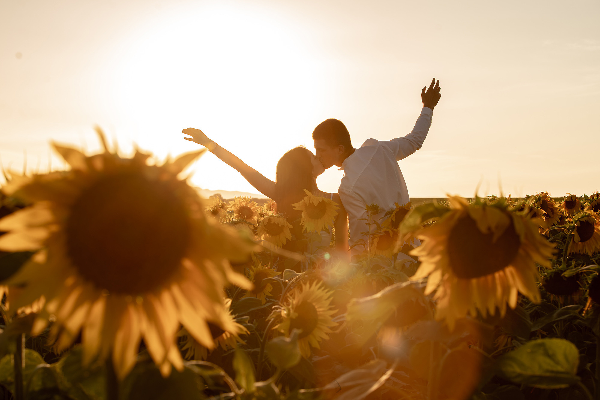 Подсолнуховое поле. Фотограф во Владивостоке Антон Блохин