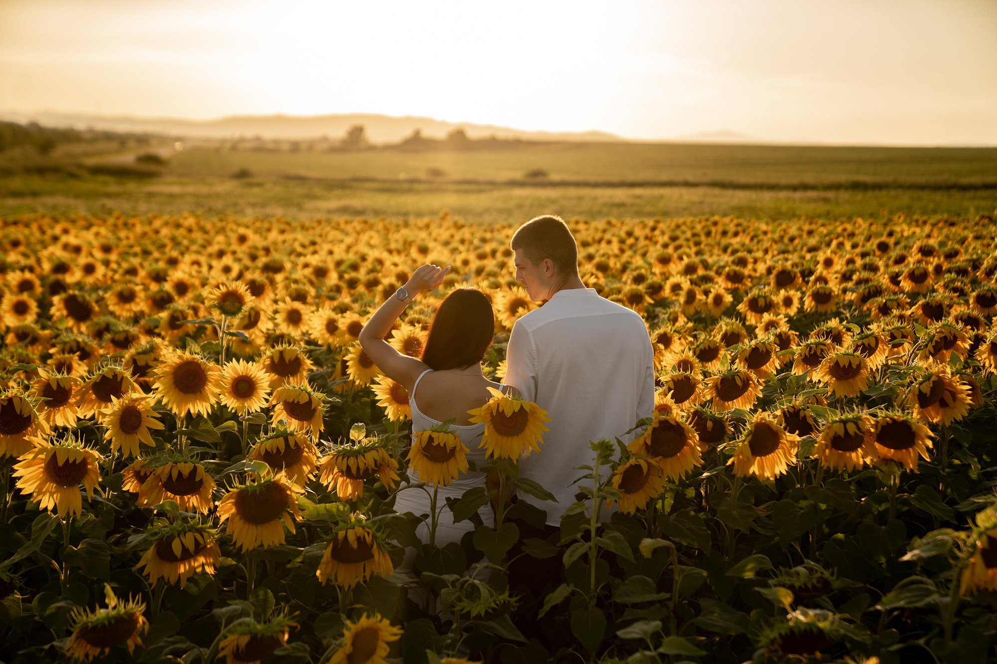 Подсолнуховое поле. Фотограф во Владивостоке Антон Блохин