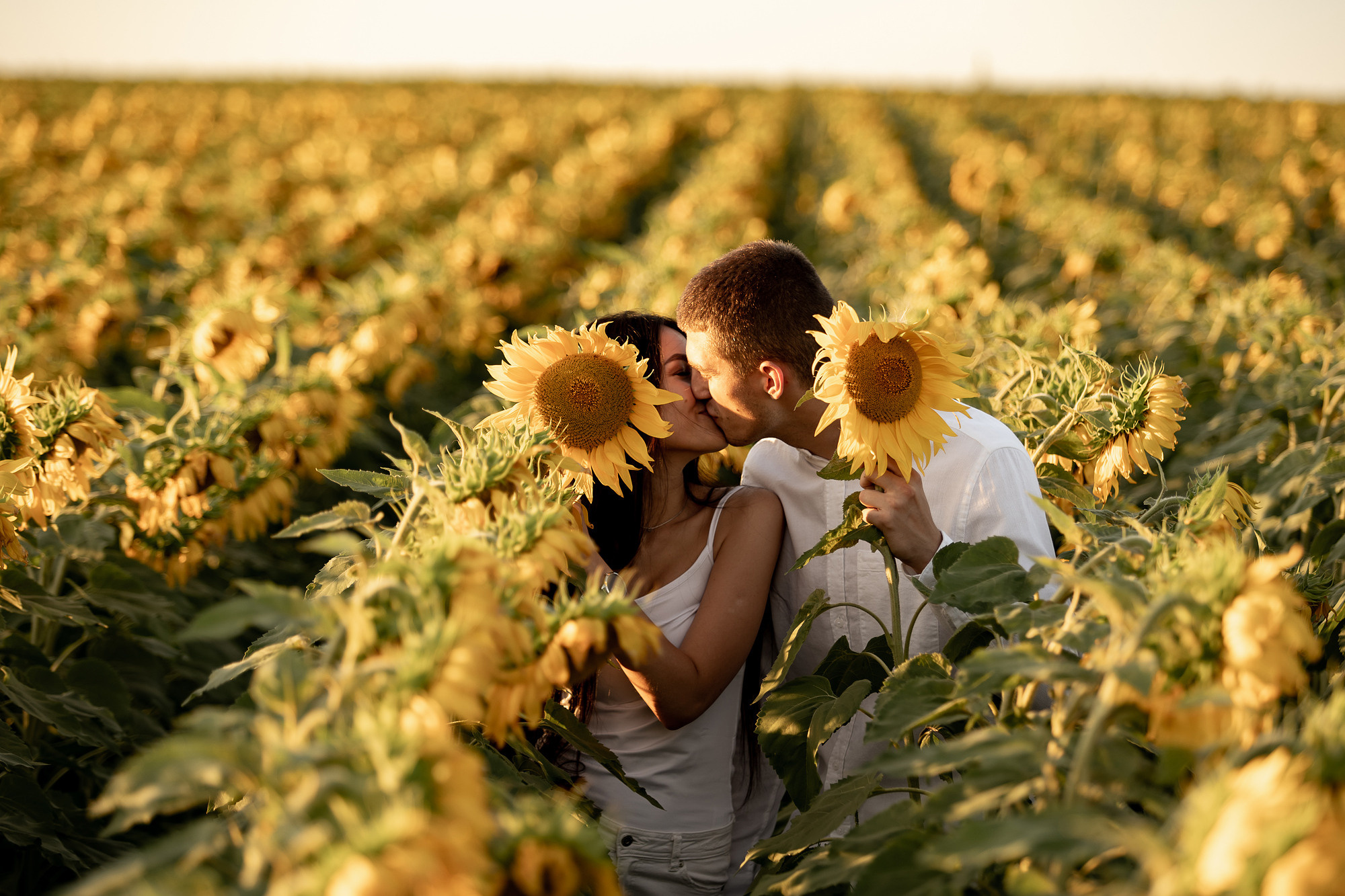 Подсолнуховое поле. Фотограф во Владивостоке Антон Блохин
