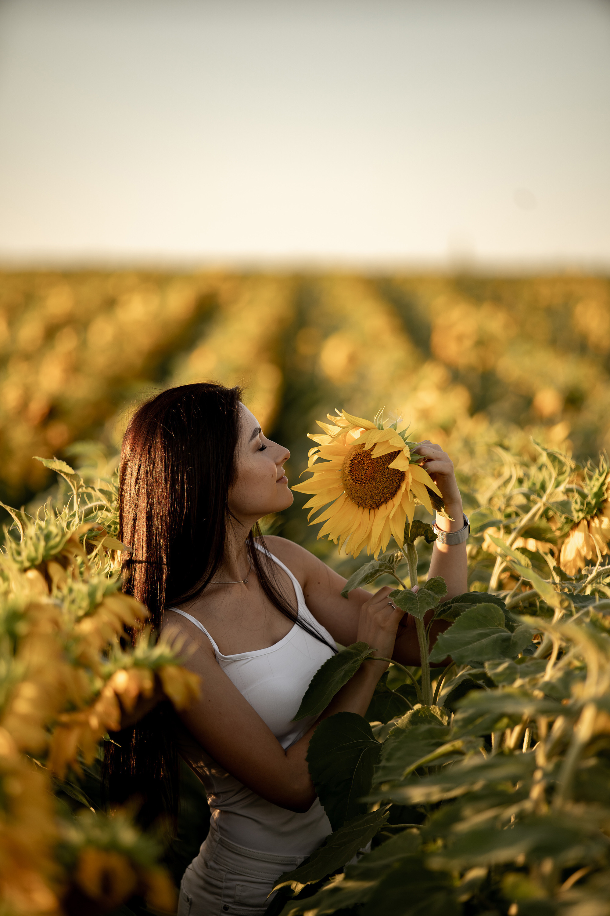 Подсолнуховое поле. Фотограф во Владивостоке Антон Блохин