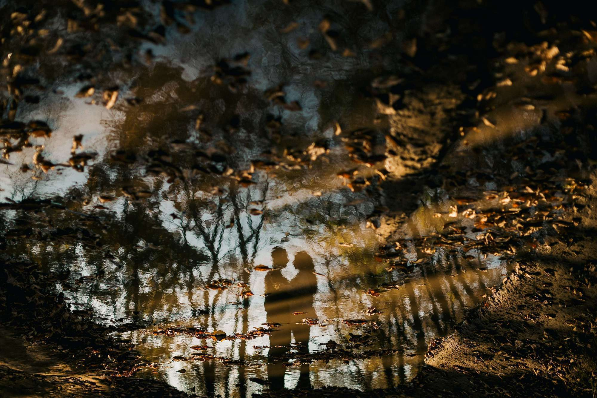 ЗОЛОТАЯ ОСЕНЬ!