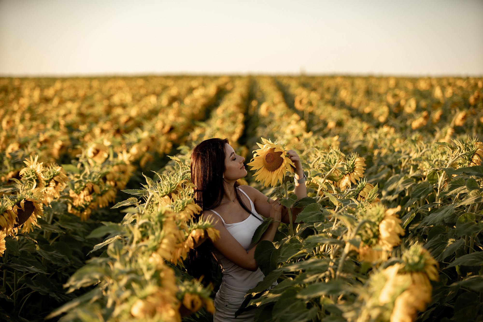 Подсолнуховое поле. Фотограф во Владивостоке Антон Блохин