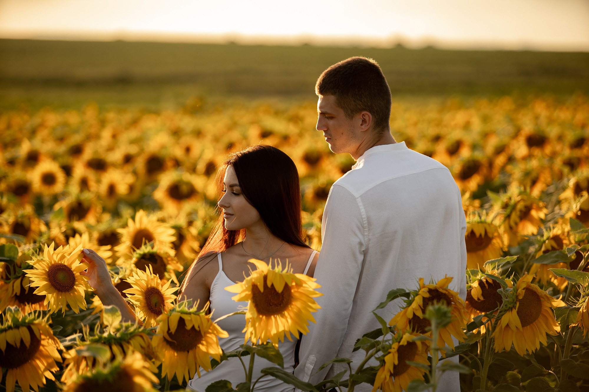 Подсолнуховое поле. Фотограф во Владивостоке Антон Блохин
