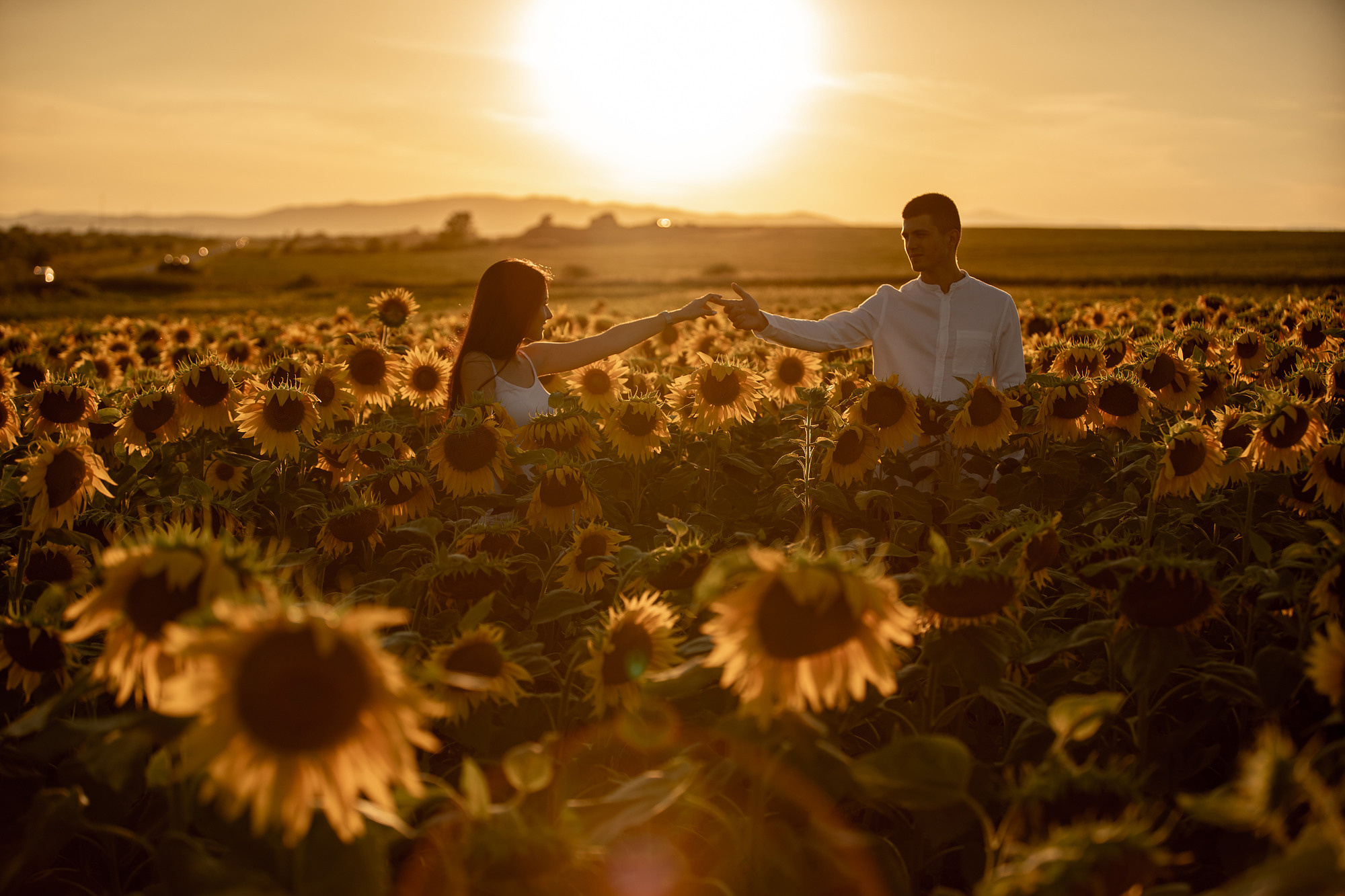 Подсолнуховое поле. Фотограф во Владивостоке Антон Блохин