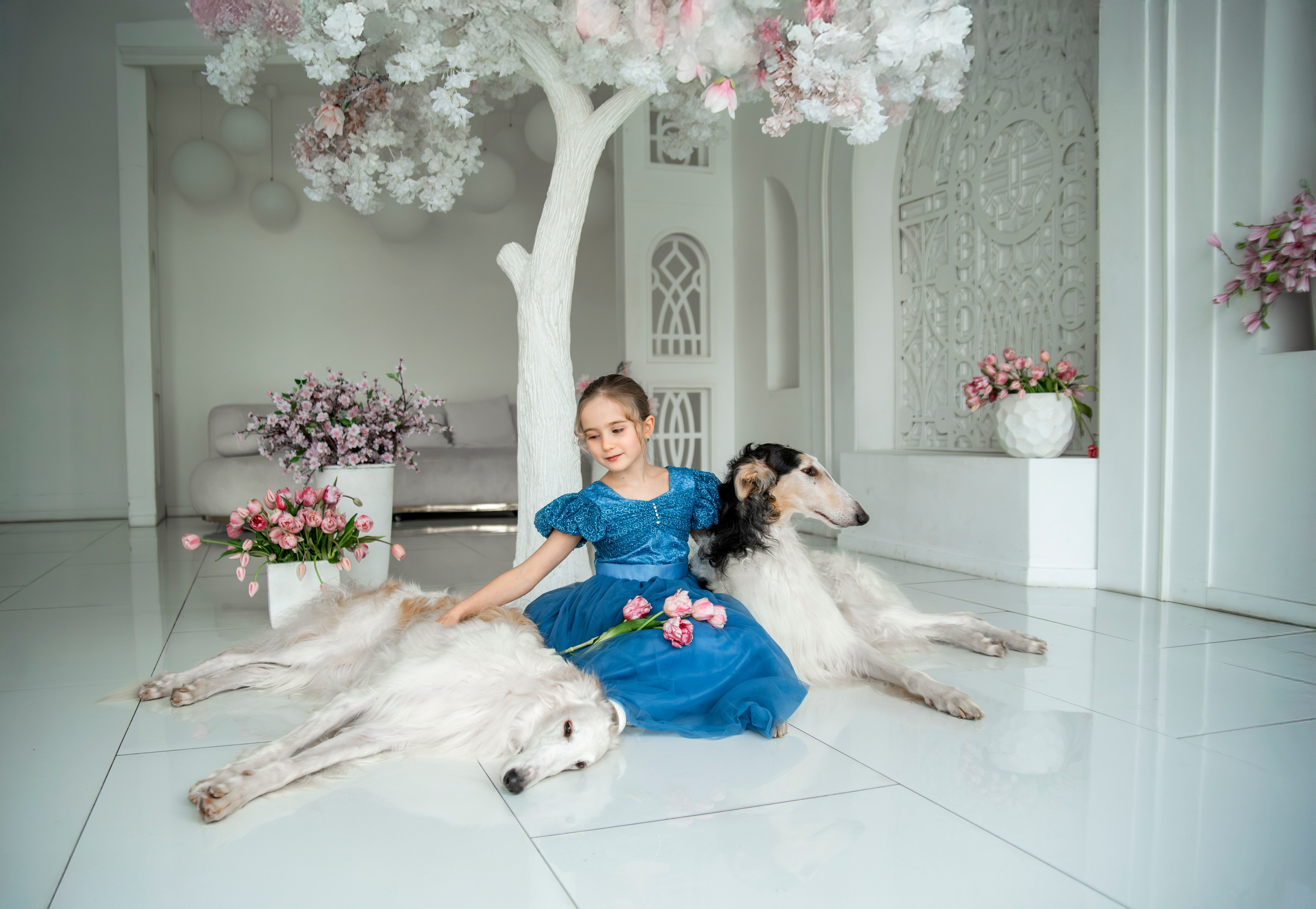 Съемки с собаками. Конный фотограф из Москвы Ирина Бондаркова