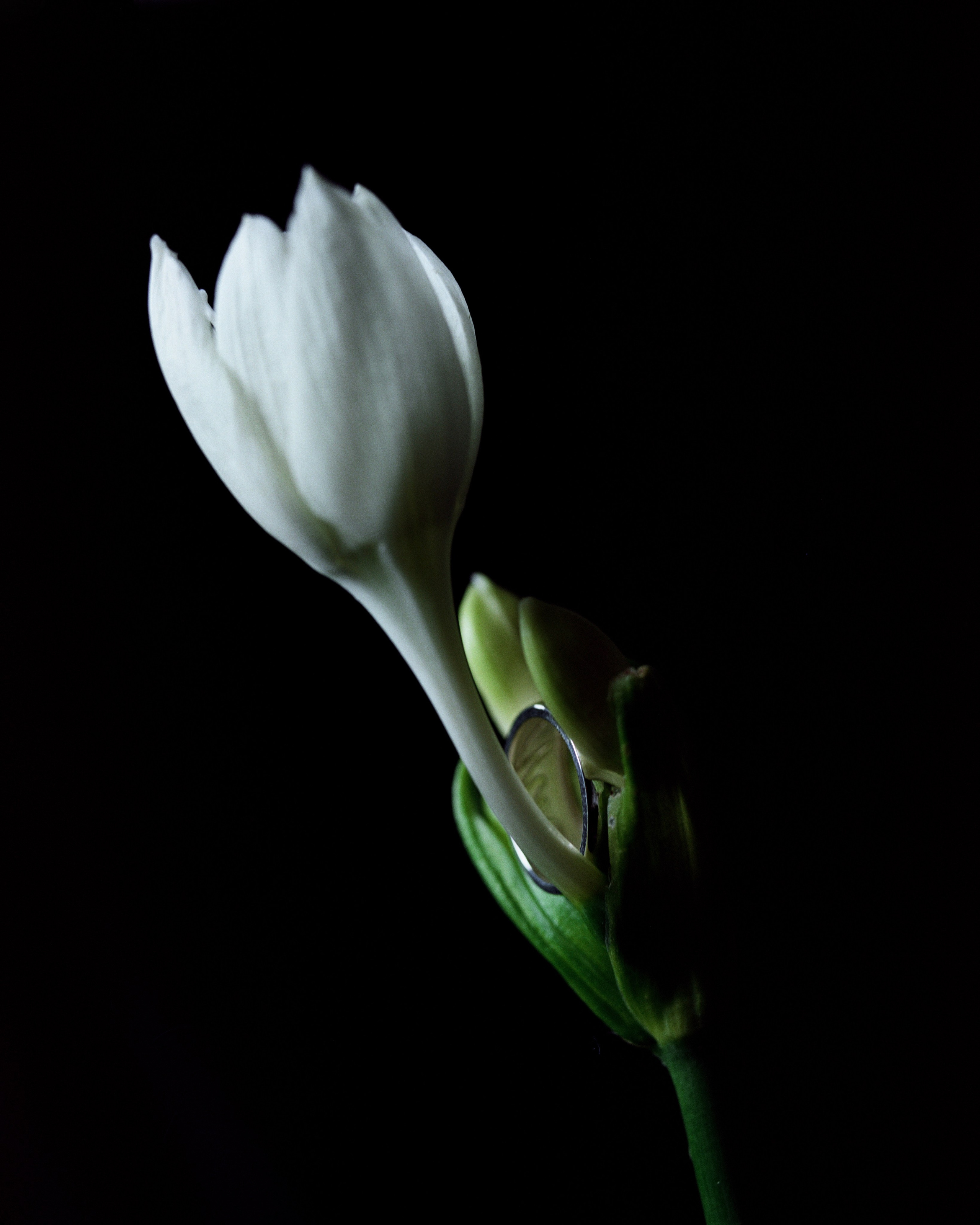 Sumei. Фотограф из Москвы