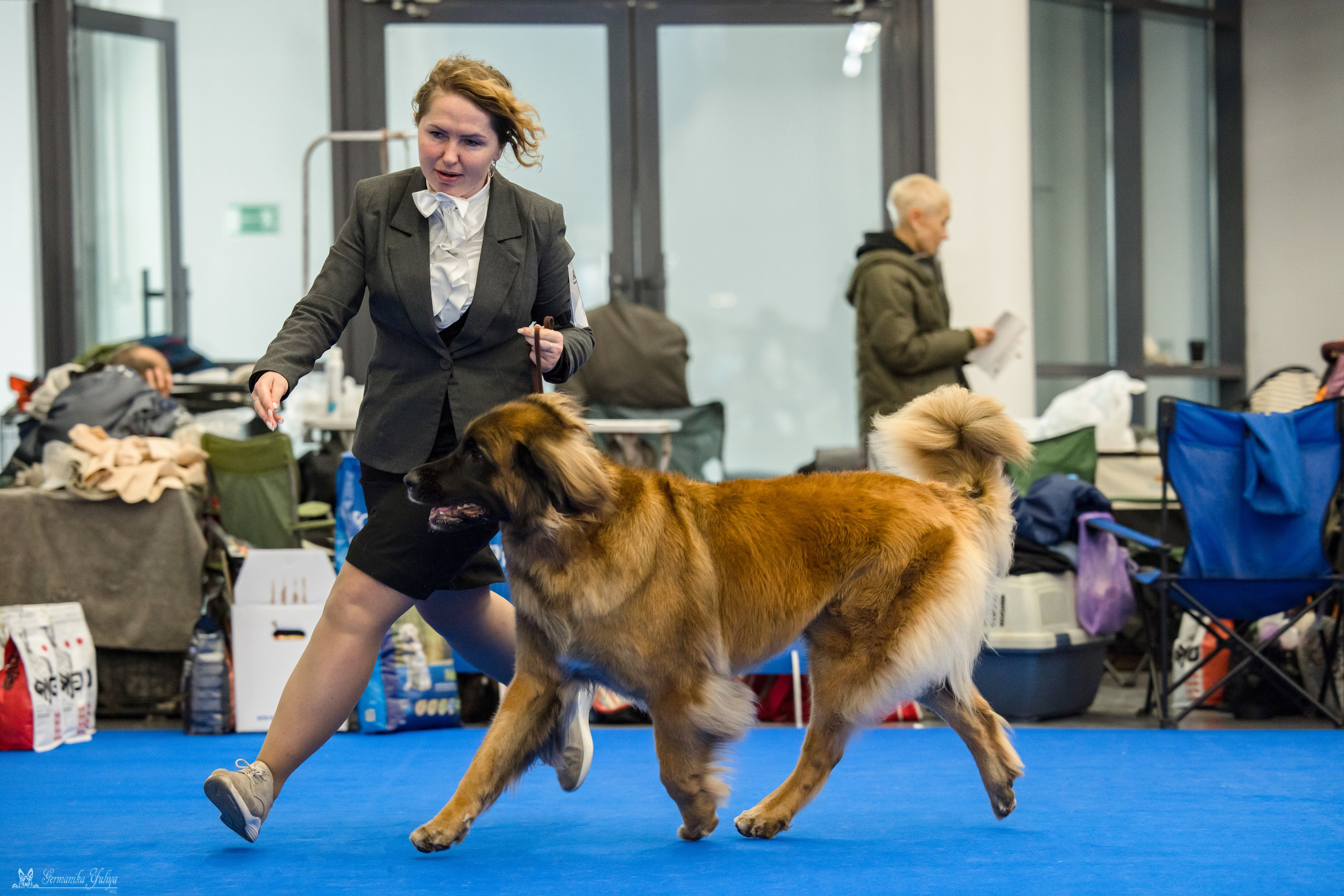 Нижний Новгород 21-22.10.2023. Фотограф-анималист Юлия Германика