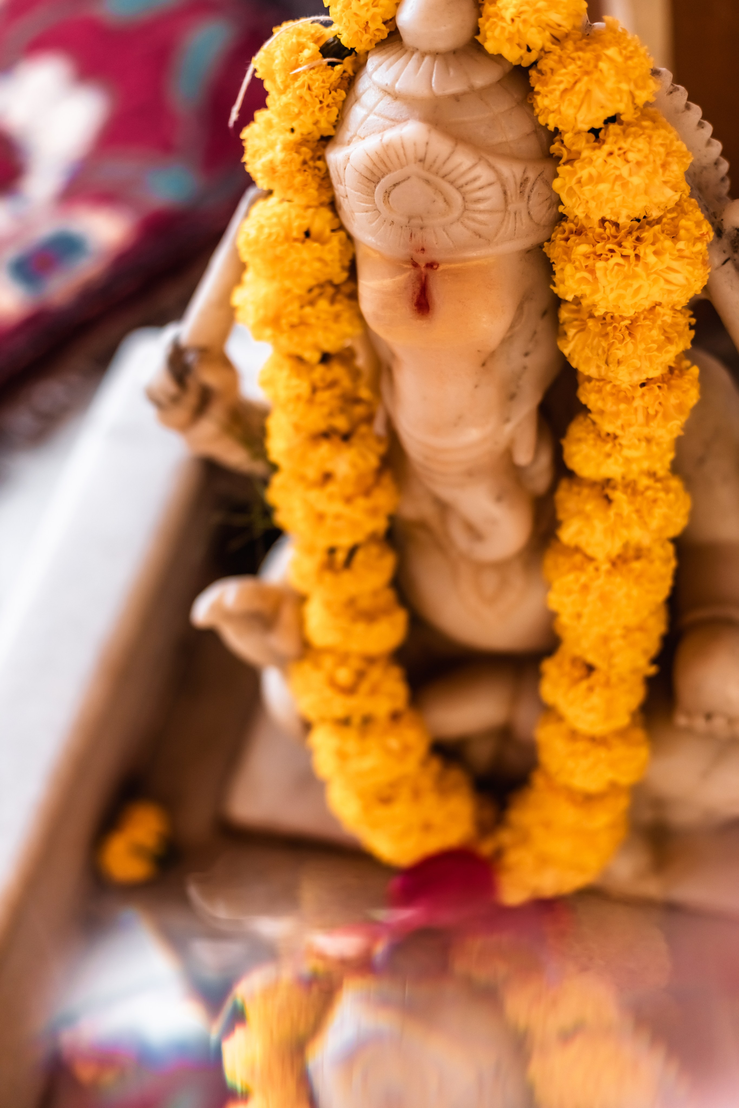 Devraha baba ji ashram life 2025. Mariam Bagdasaryan