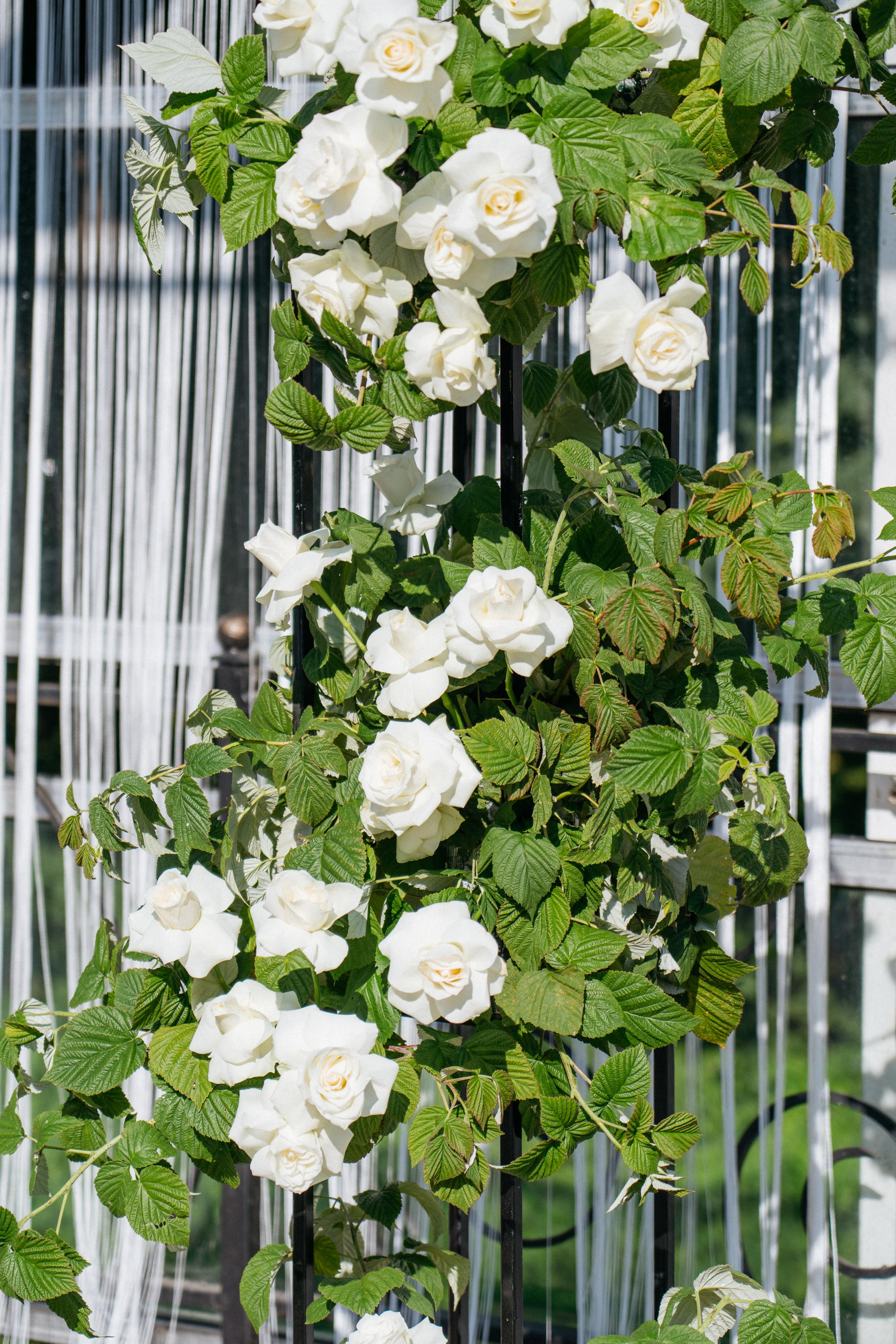 Артем и Евгения. Свадебный и семейный фотограф в Калининграде Анастасия Гриценко