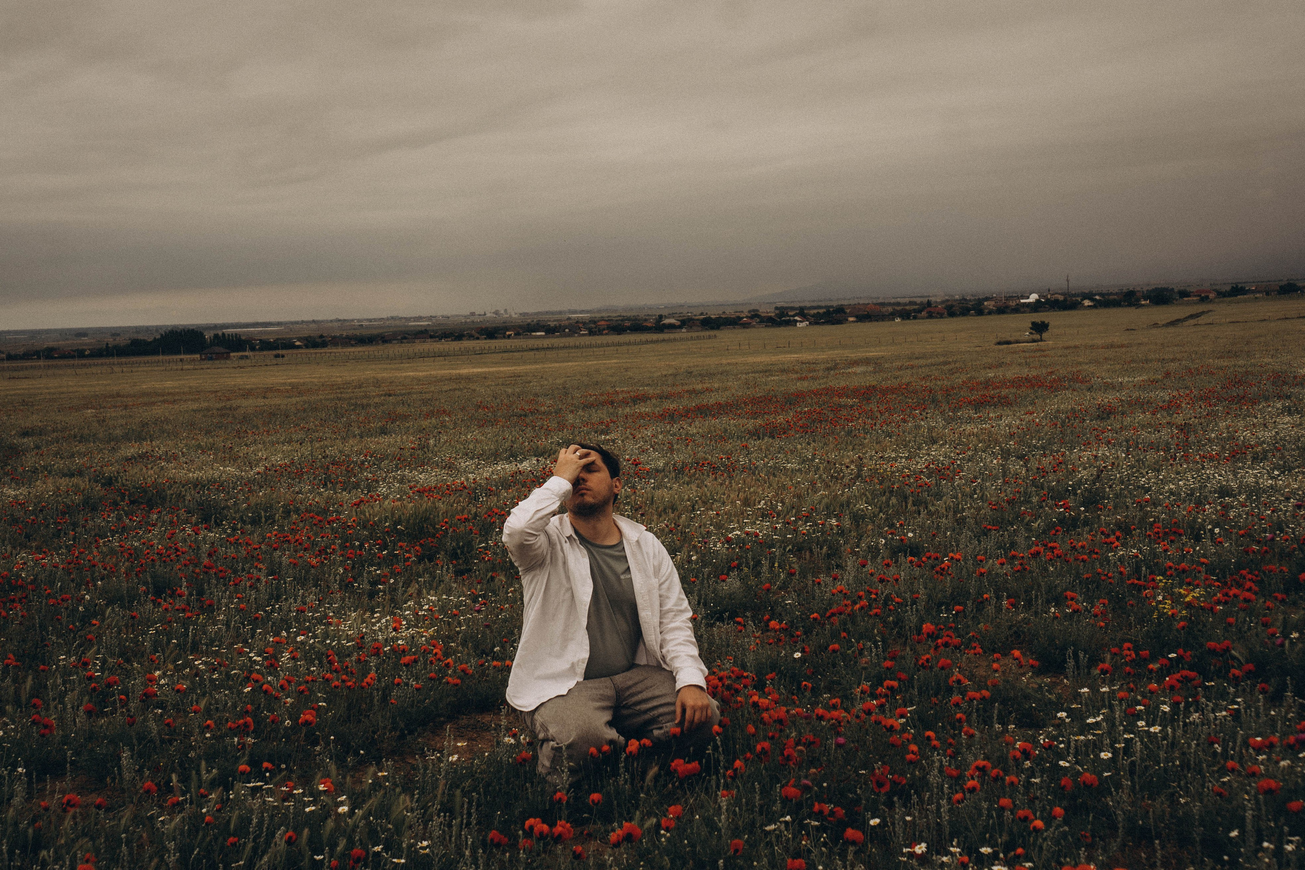 Маки. Профессиональный фотограф, Санкт-Петербург — Виктория Богомолова