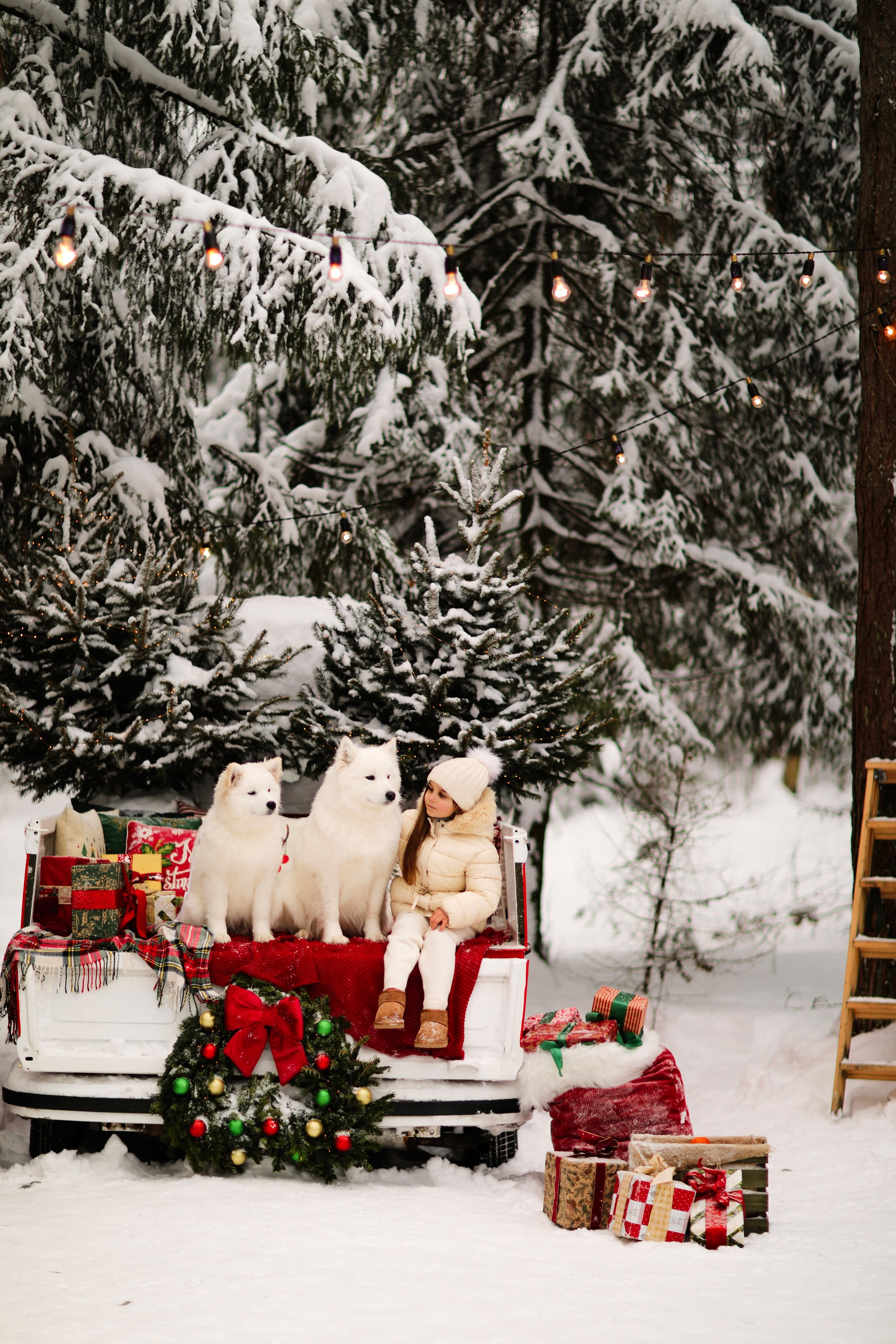 Winter Tale (зимняя детская фотосессия с самоедами). Семейный и детский фотограф Москва