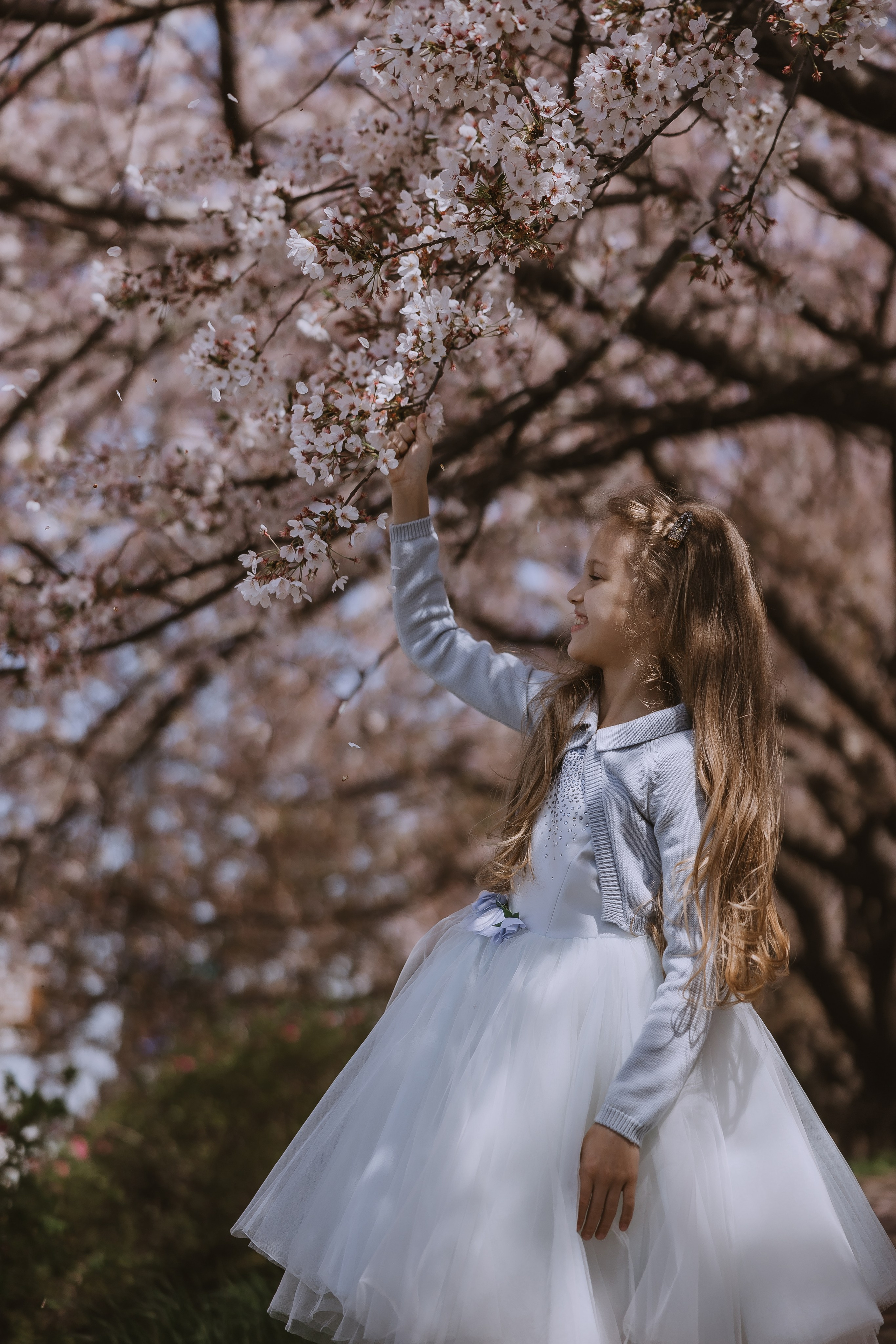 Beautiful girl at a photo shoot with sakura in Korea, Busan. Your photographer in Busan (South Korea) Aleksandra Anufriy