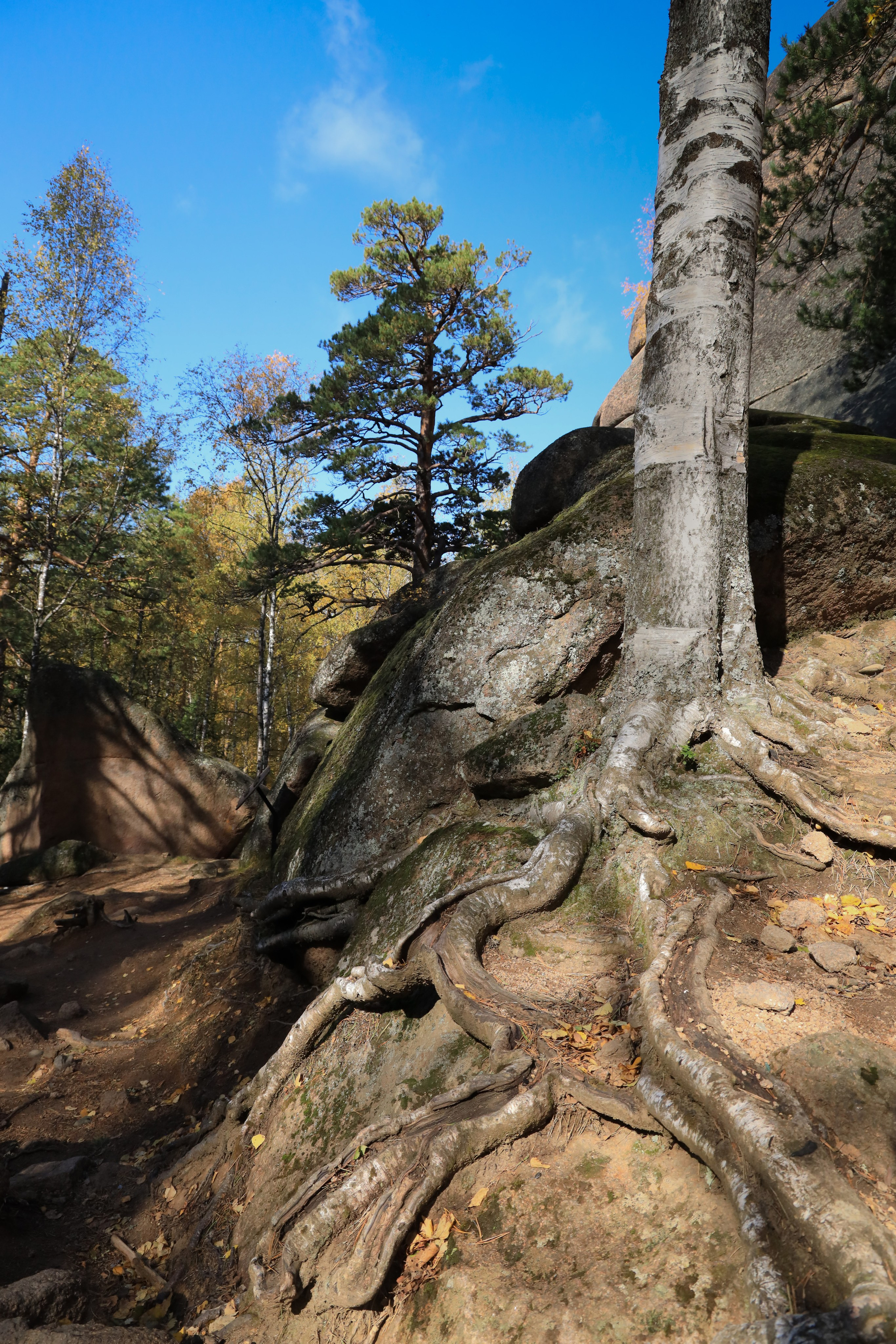 Мир вокруг нас. Разное. Фотограф Наталья Кузьмик г. Красноярск