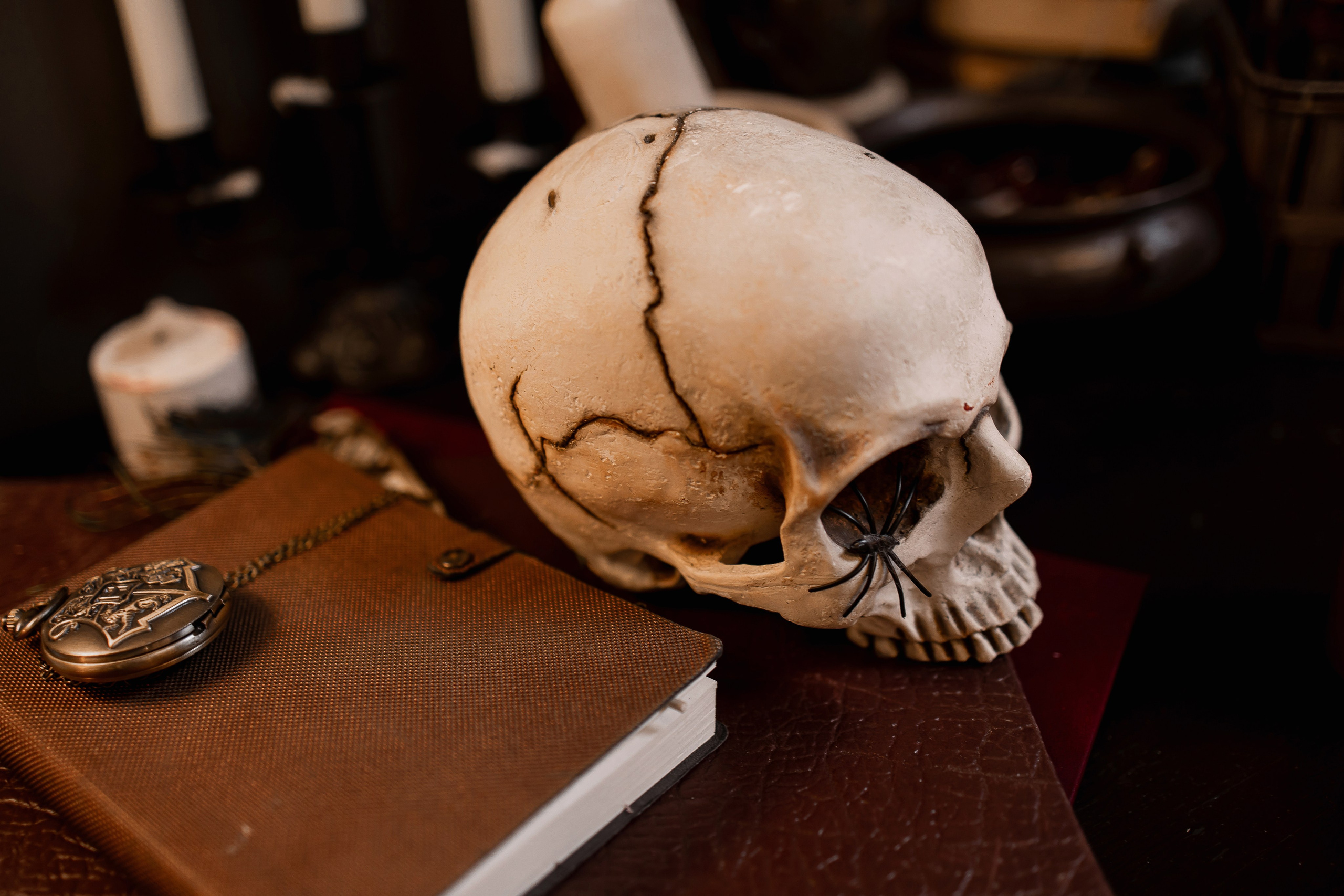 Harry Potter. Свадебный фотограф в Омске Яна Савина