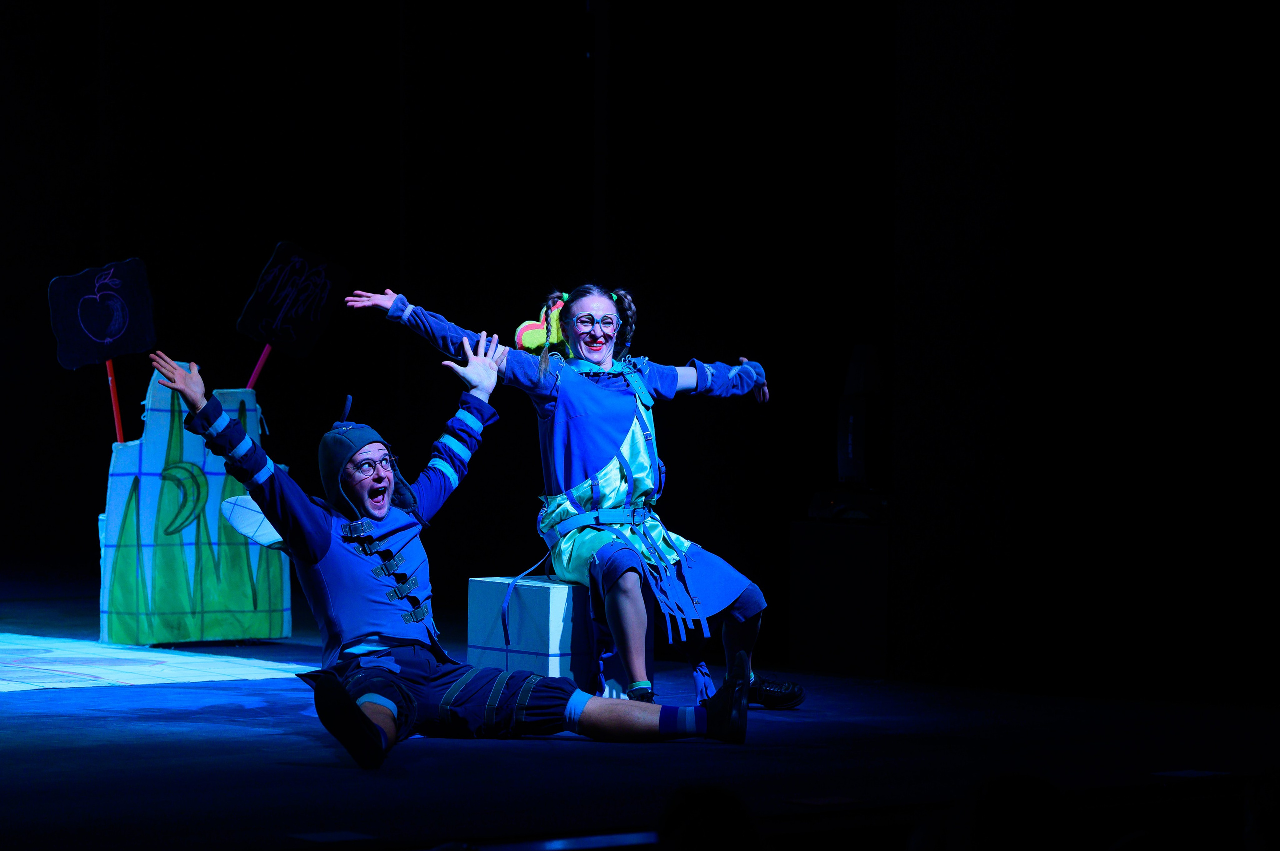 Муха Цокотуха. Фотоуслуги, услуги фотографа, фотографирование важных событий