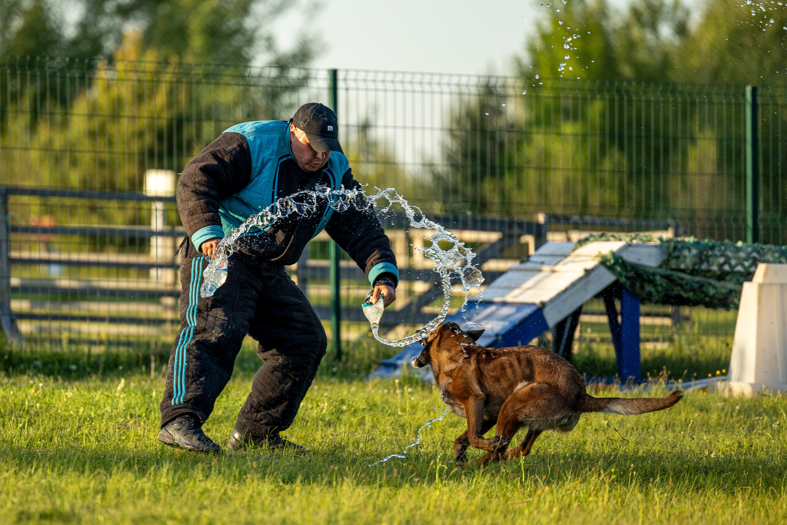 Испытания по мондьорингу в Нижнем Новгороде. Фотограф-анималист Анна Маринич