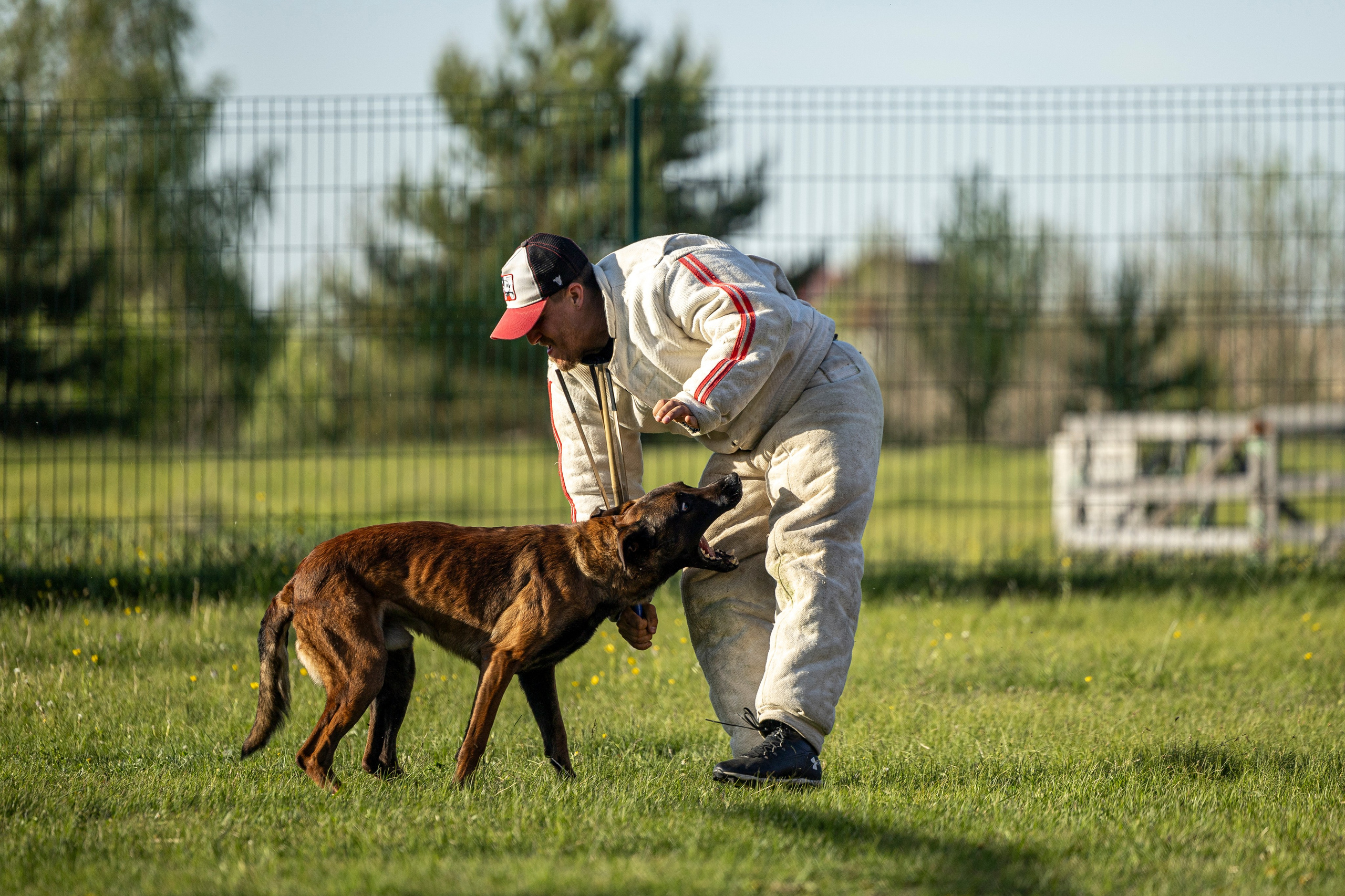 Испытания по мондьорингу в Нижнем Новгороде. Фотограф-анималист Анна Маринич