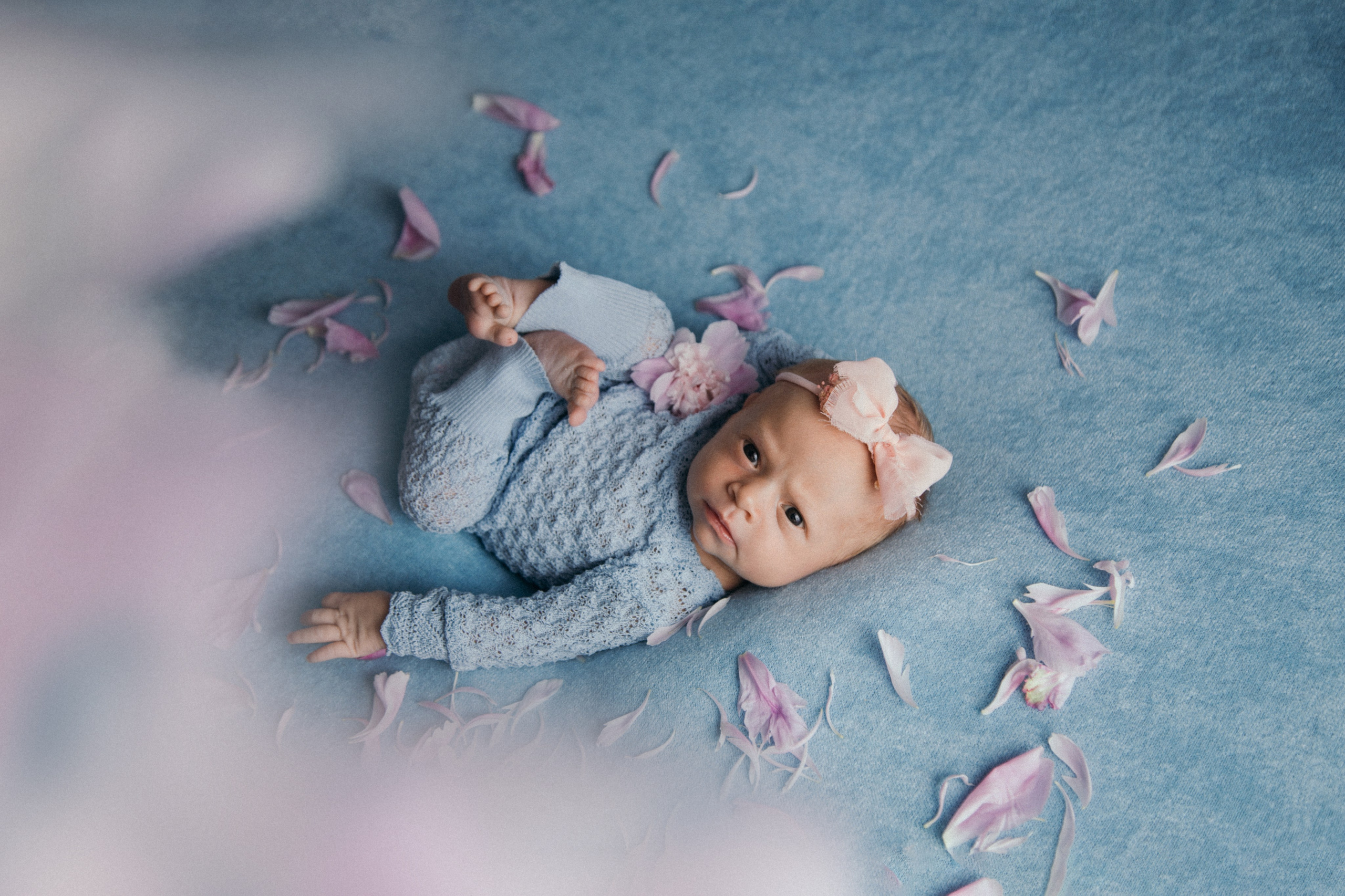 Василиса, пакет «Комфорт», 9 дней. Фотограф новорождённых Екатерина Боброва. Ульяновск