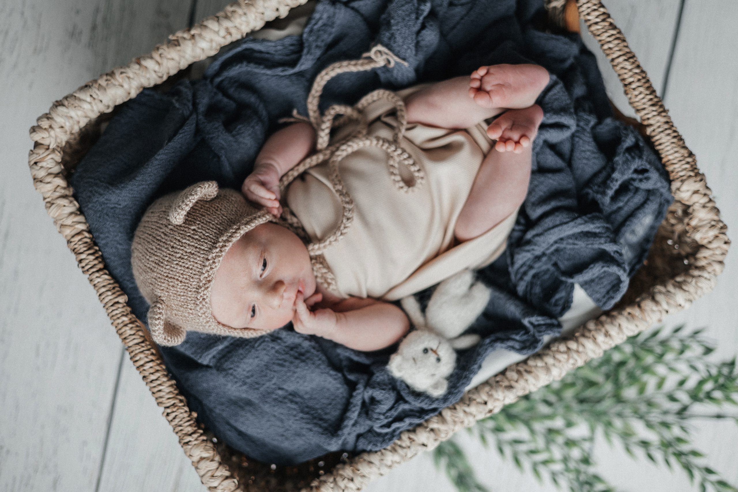 Гриша, пакет «Комфорт». 14 дней. Фотограф новорождённых Екатерина Боброва. Ульяновск