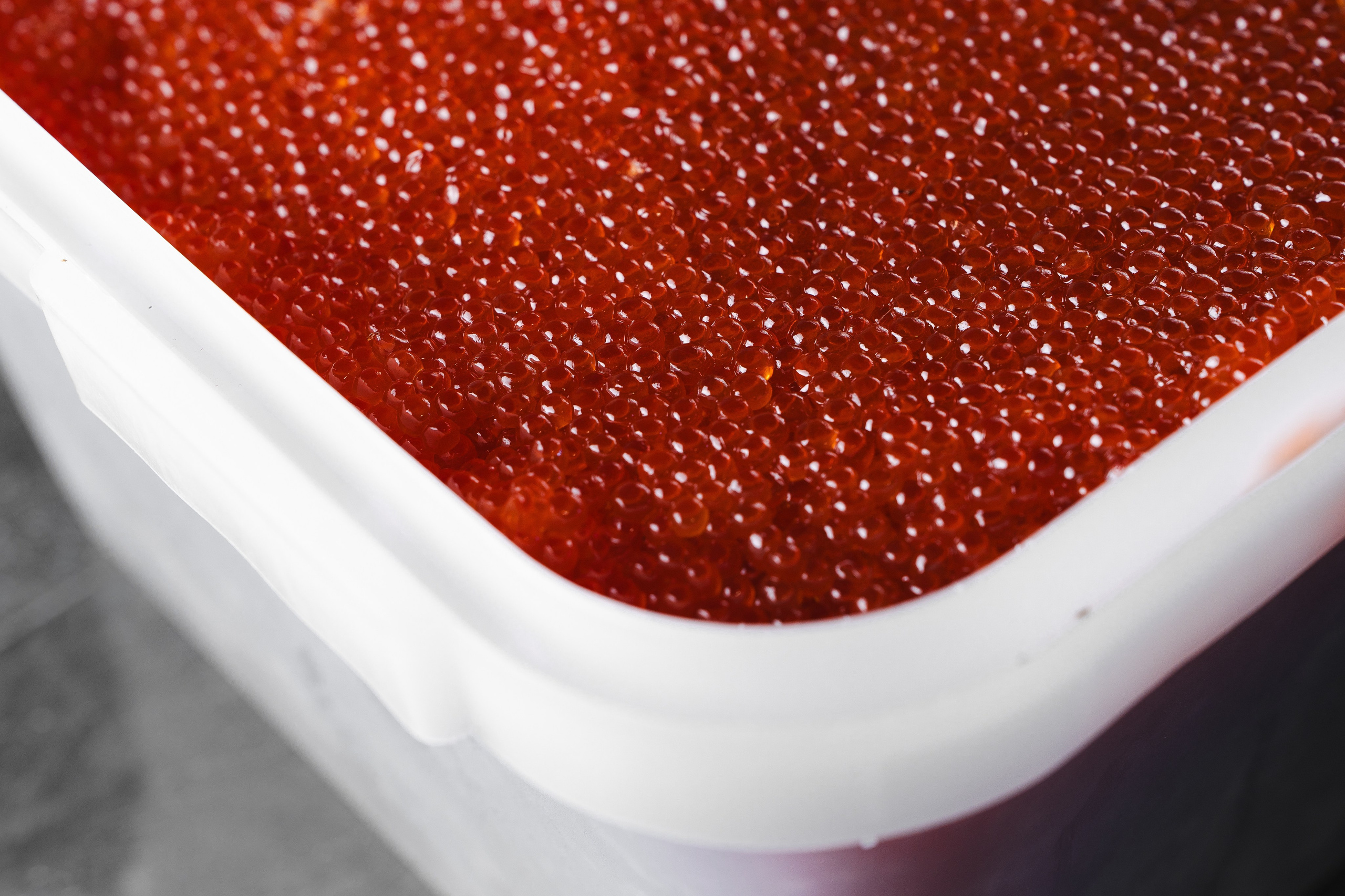 Амурро. Фотограф Хабаровск