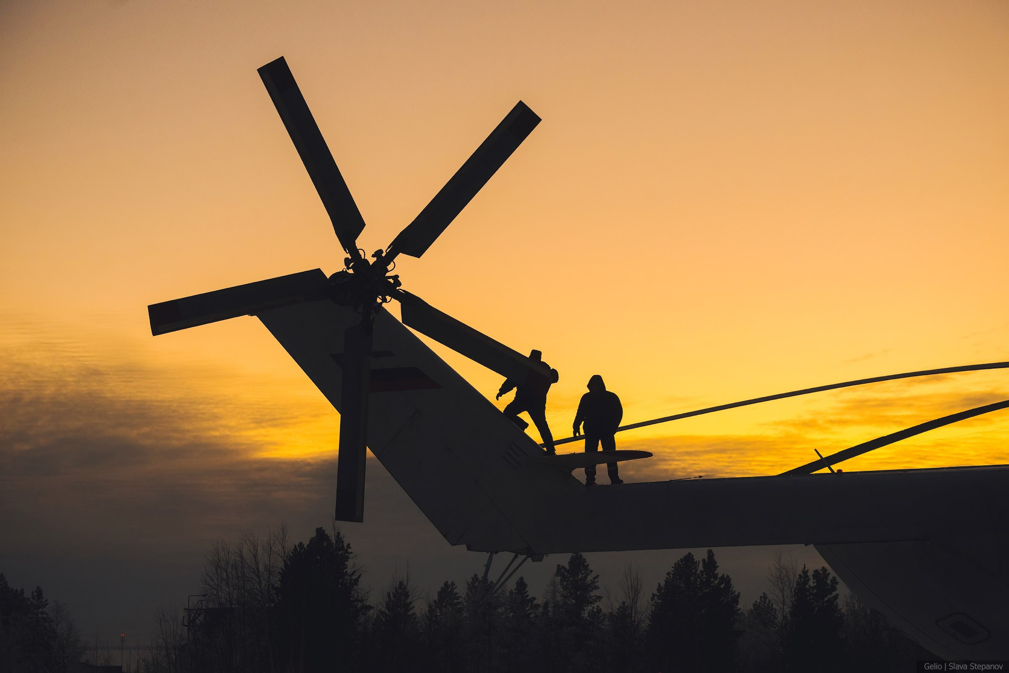 Аваиция. Фотограф Слава Степанов, Gelio