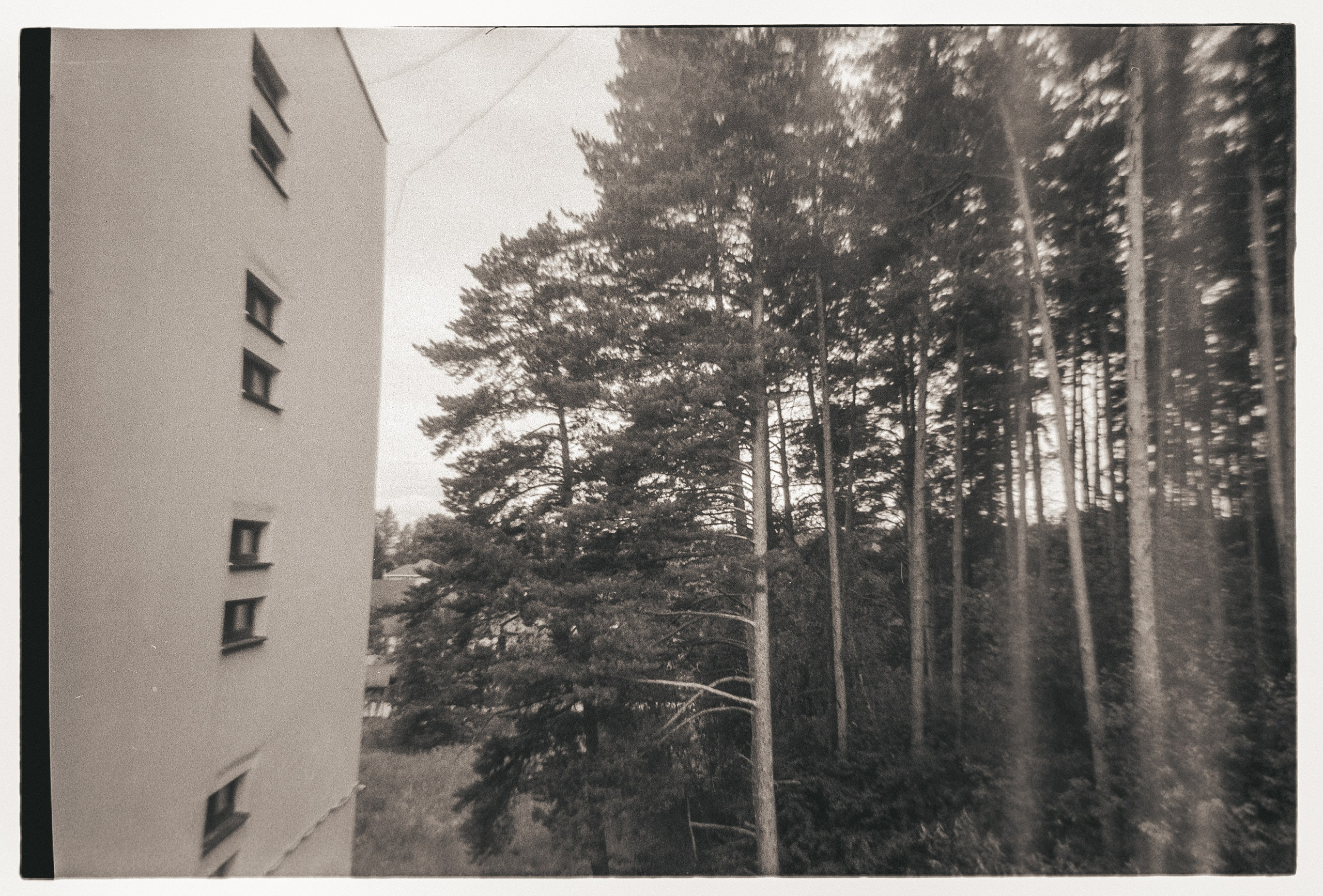 Летняя мастерская КВН, ч/б плёнка, июль 2025. Фотограф в Ярославле Ольга Пыненкова