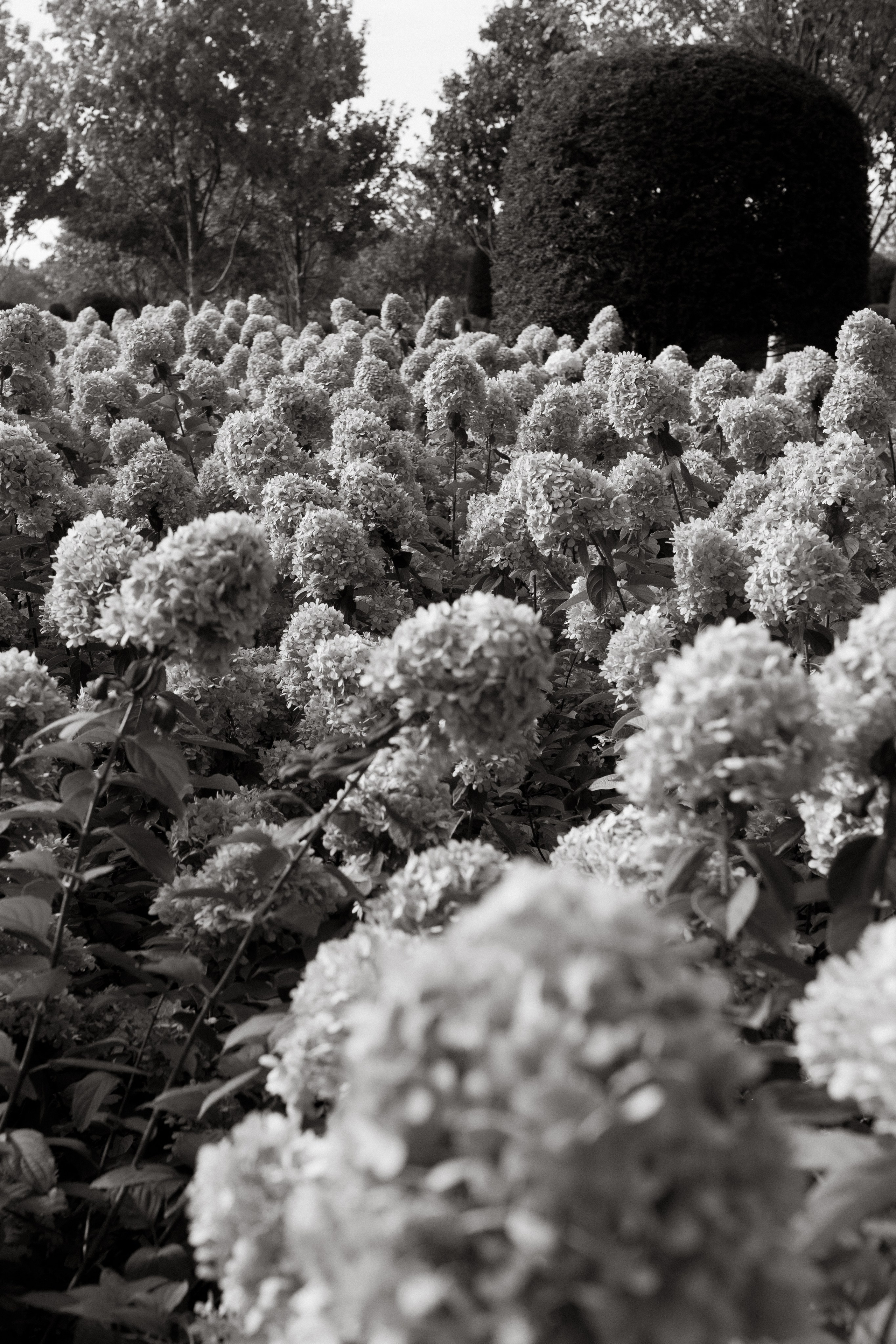 Just married. Свадебный фотограф Катерина Евст