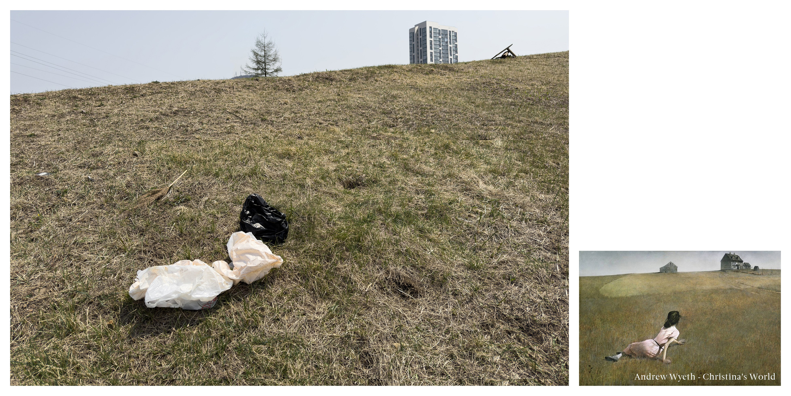 “Plastic bag as a found object” project. Art photographer Serdyuk Yulia