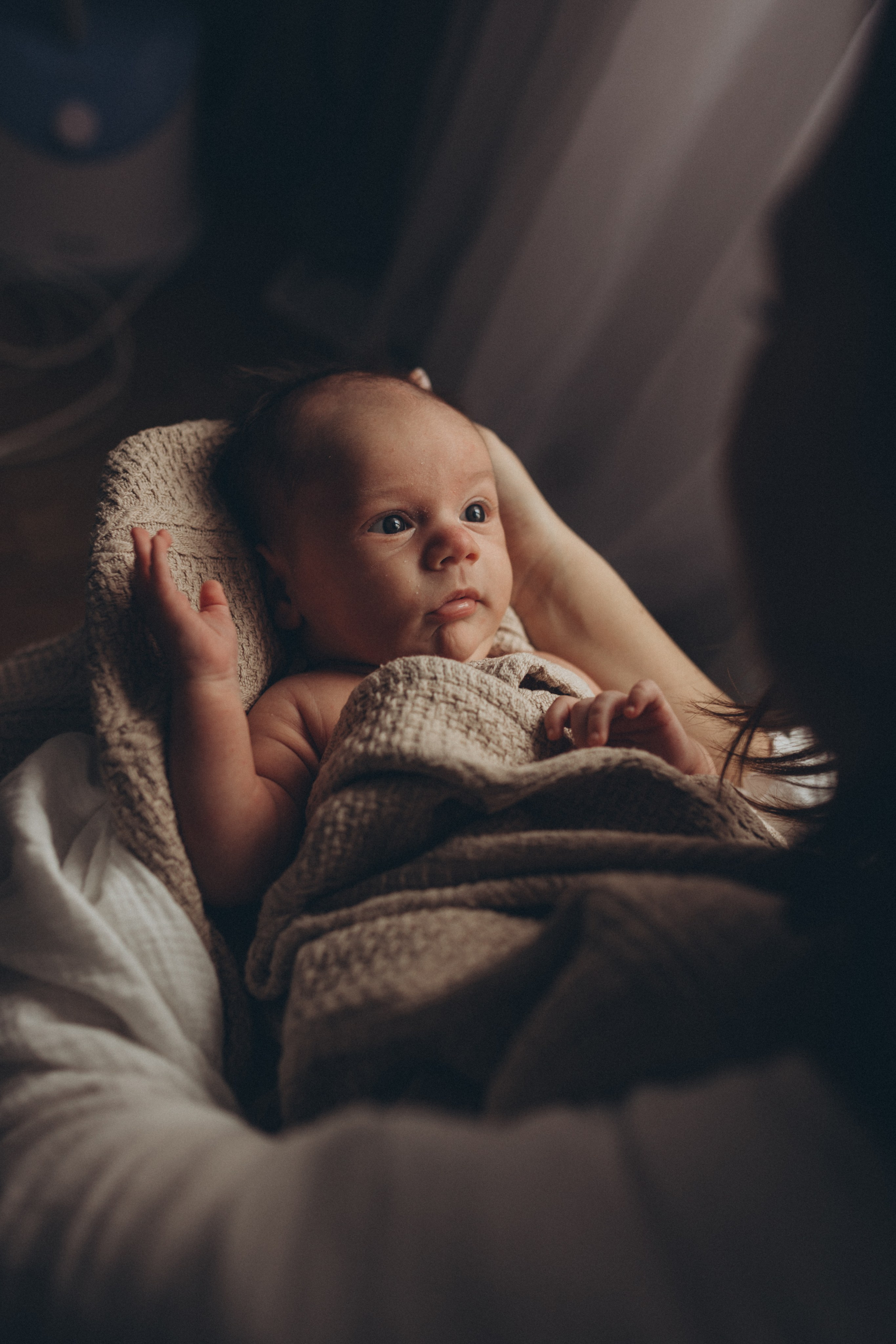 Домашний ньюборн. Главная