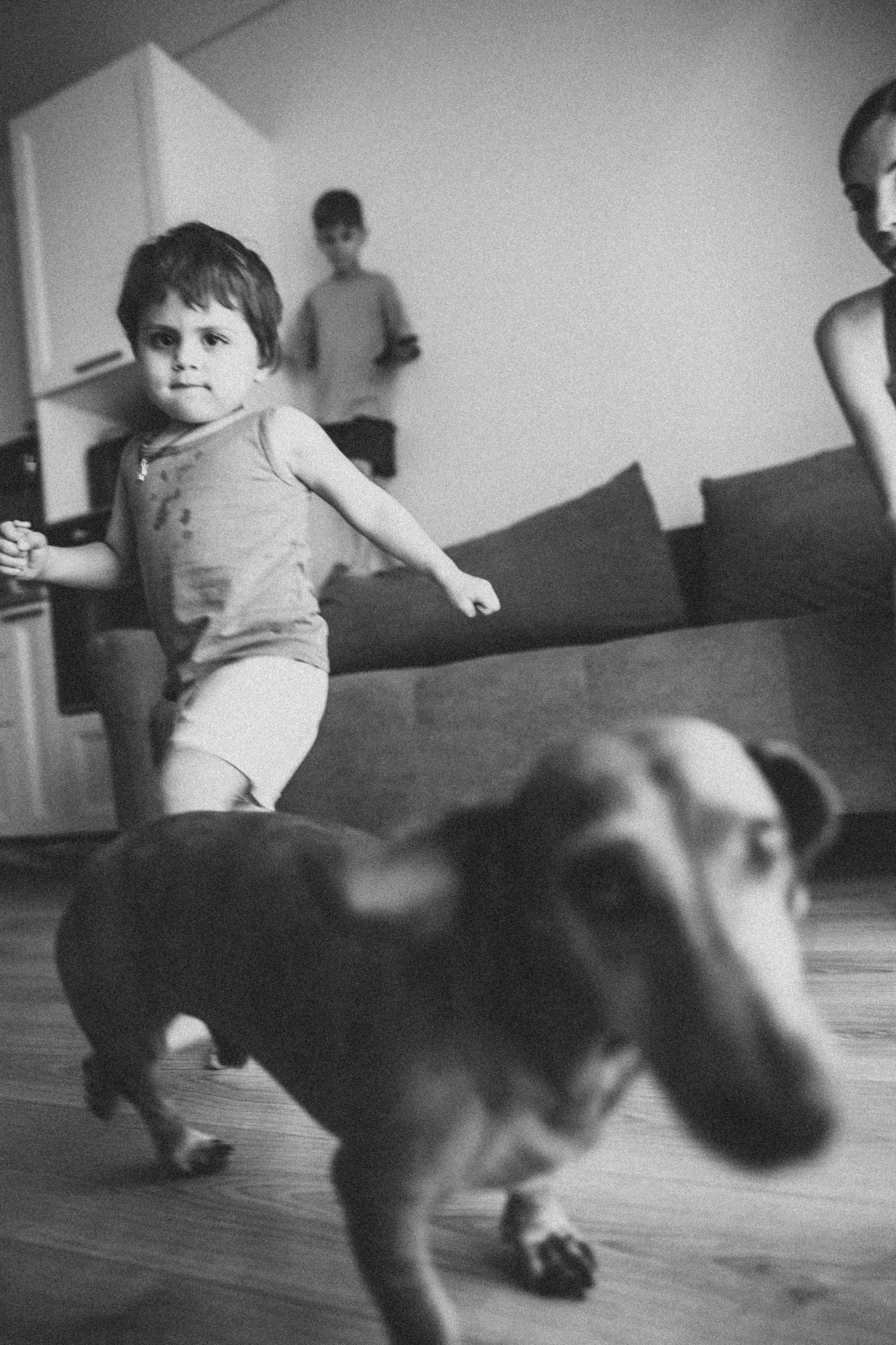 Саша Даня Илюша. Семейный фотограф в Краснодаре Анна Пасик