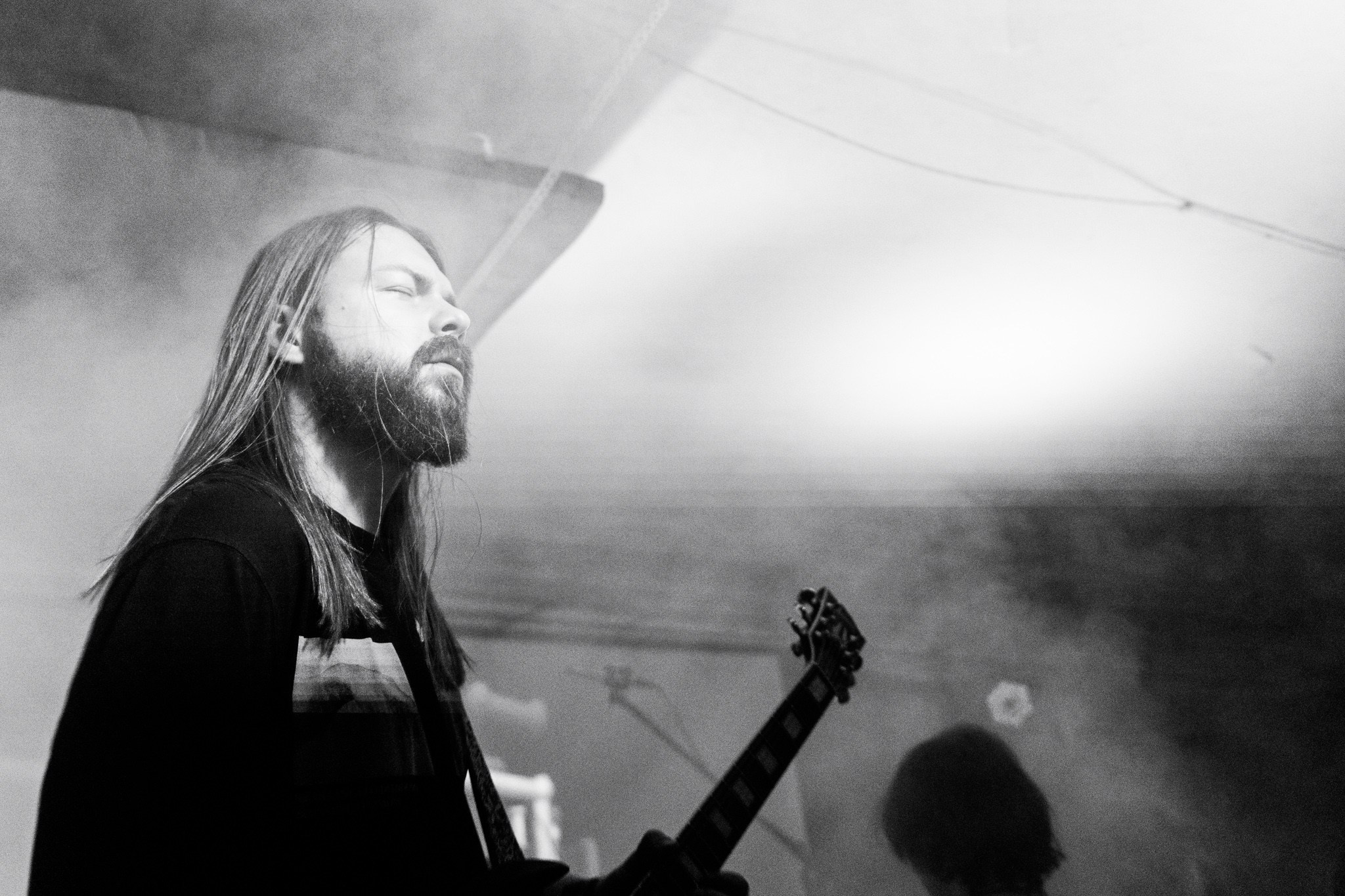 Змееед, Apodemus, 20.12.25, TAGO)))MAGO)))