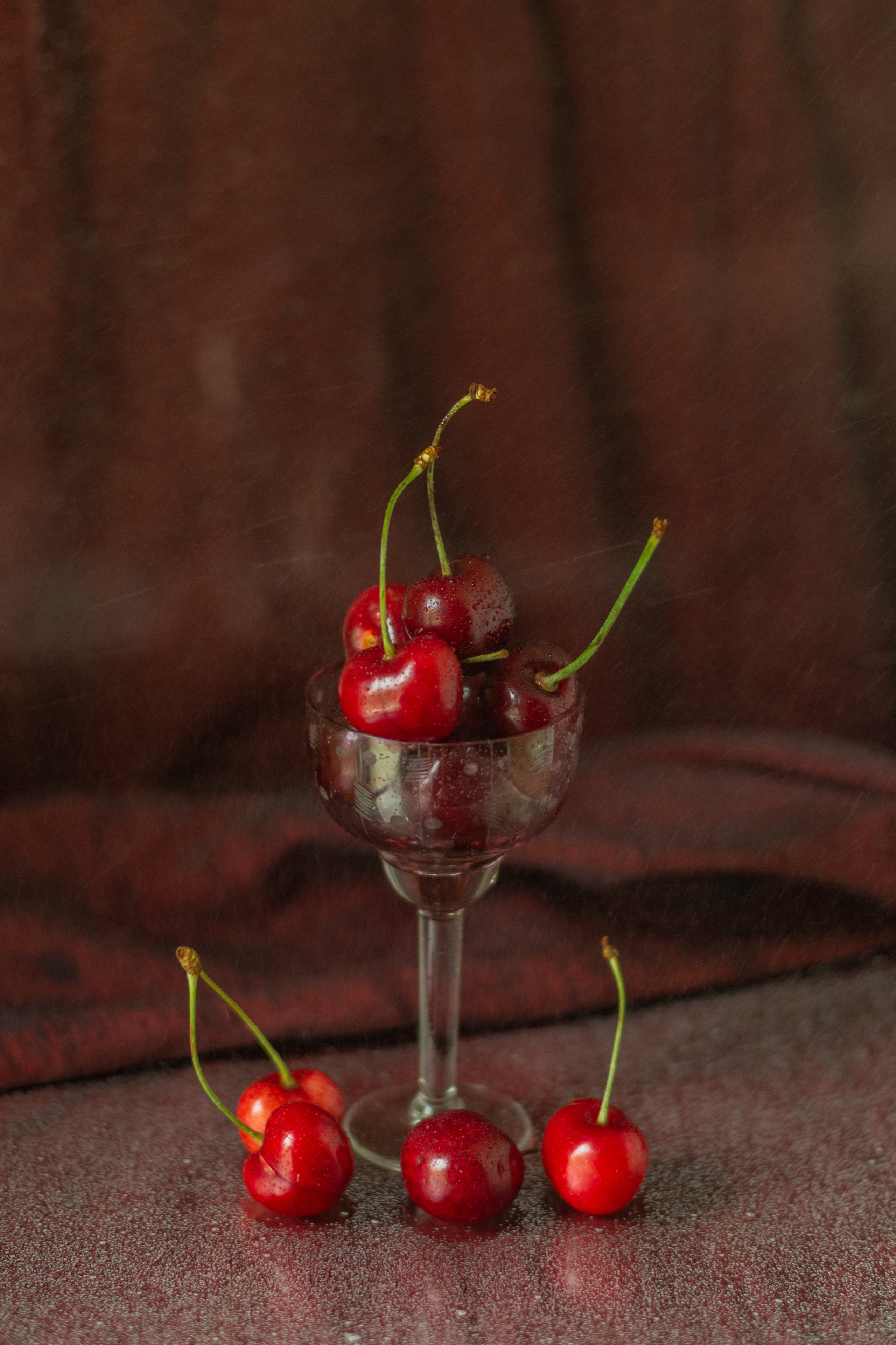 Черешня (МАКРО). Фотограф в Симферополе и Крыму — Мария СветоЯра Дмитриева | Индивидуальные и семейные съёмки