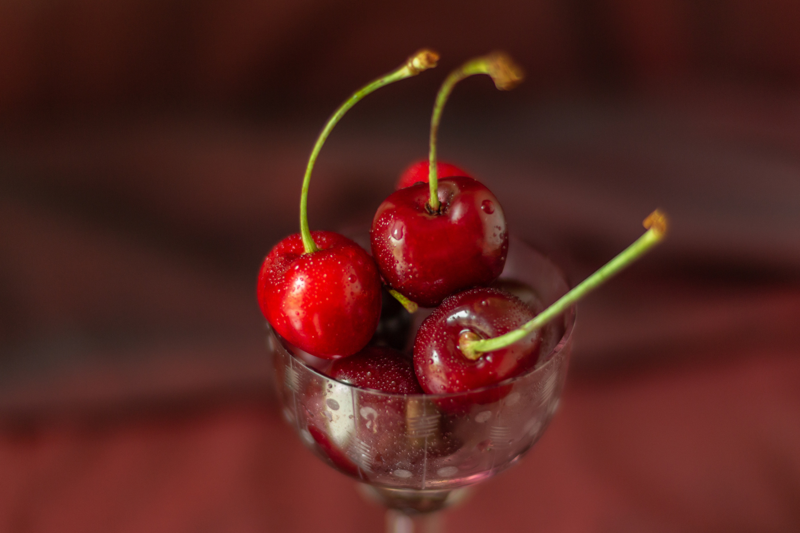 Черешня (МАКРО). Фотограф в Симферополе и Крыму — Мария СветоЯра Дмитриева | Индивидуальные и семейные съёмки