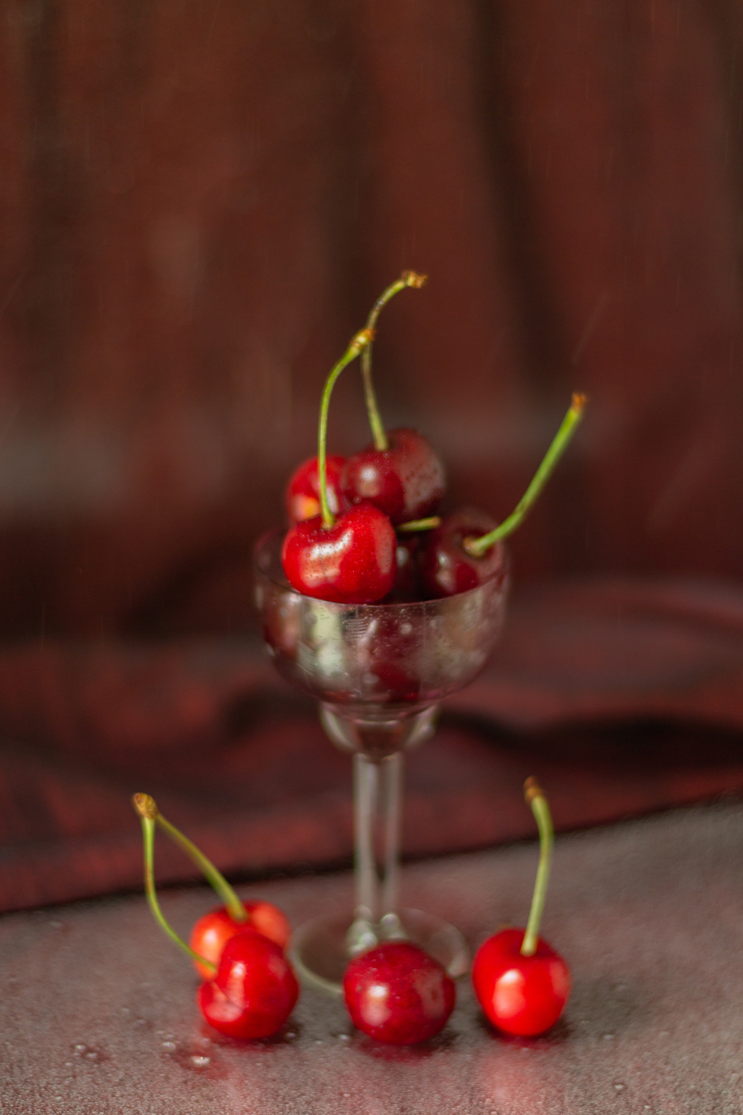 Черешня (МАКРО). Фотограф в Симферополе и Крыму — Мария СветоЯра Дмитриева | Индивидуальные и семейные съёмки