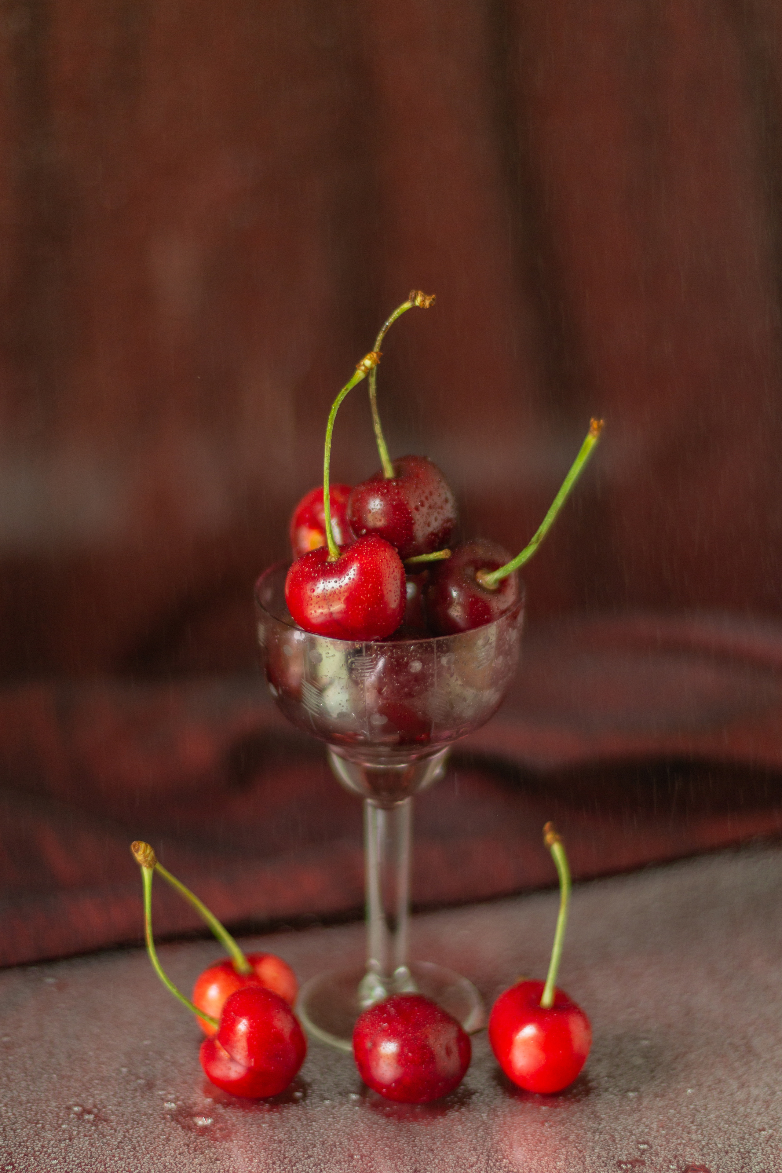 Черешня (МАКРО). Фотограф в Симферополе и Крыму — Мария СветоЯра Дмитриева | Индивидуальные и семейные съёмки