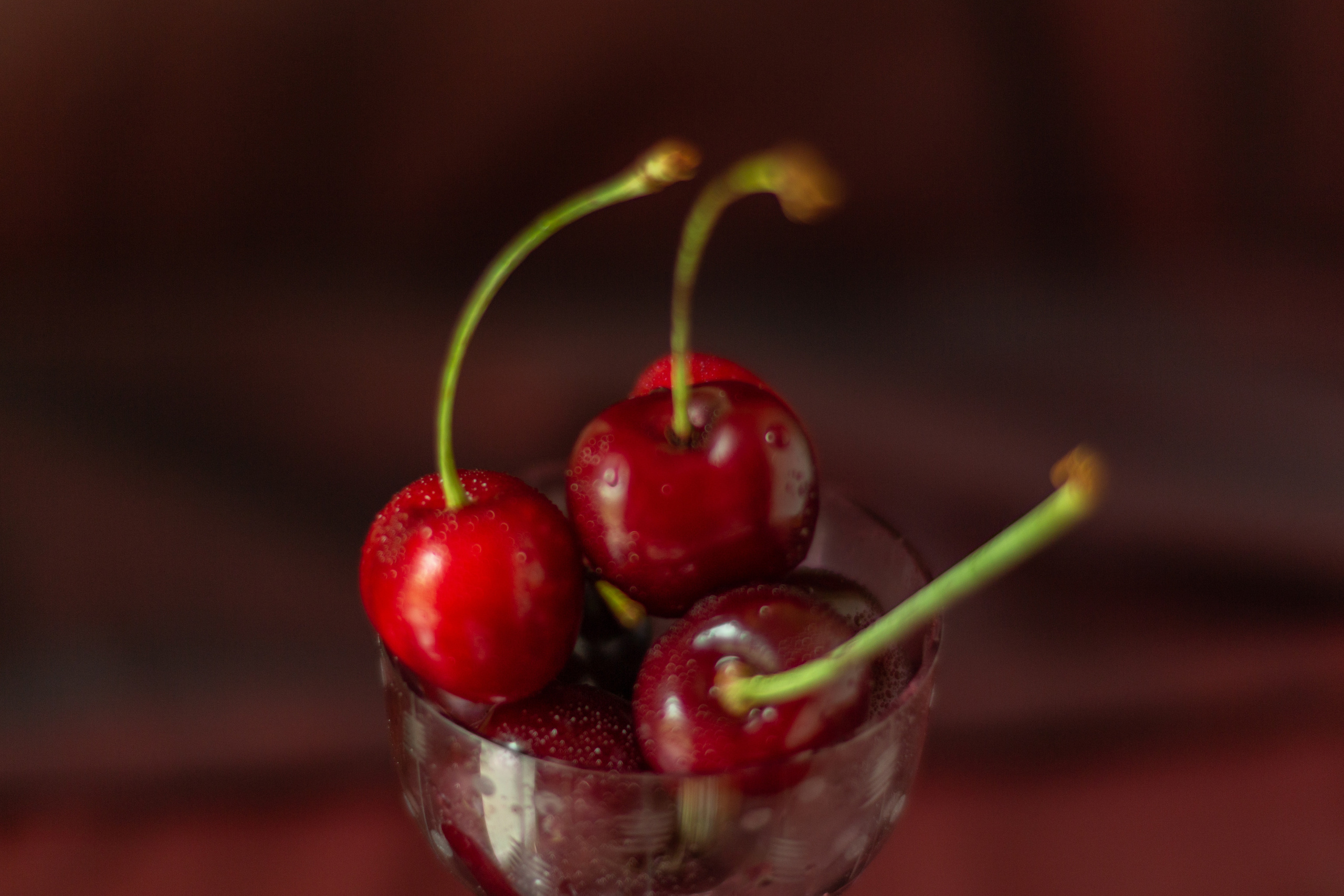 Черешня (МАКРО). Фотограф в Симферополе и Крыму — Мария СветоЯра Дмитриева | Индивидуальные и семейные съёмки